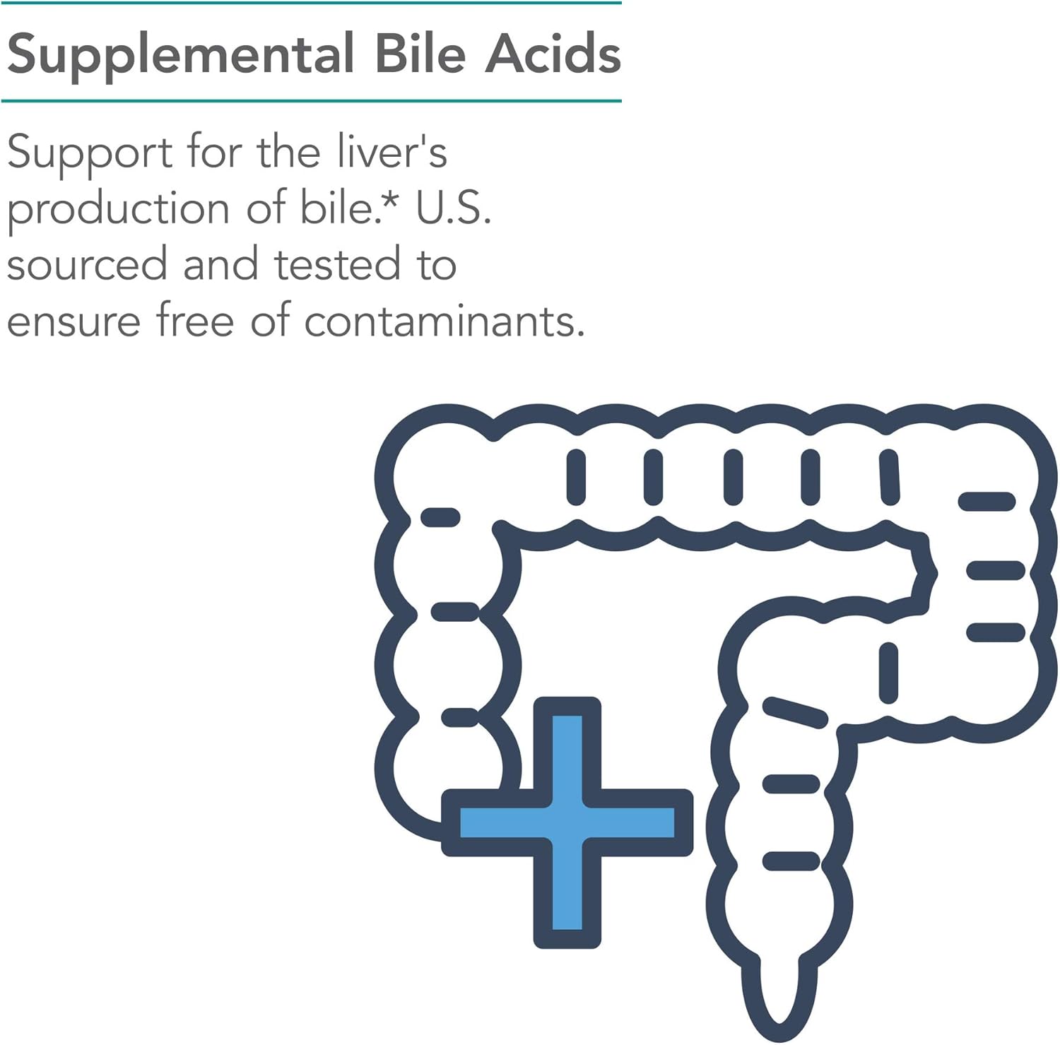 NutriCology Ox Bile 500 mg – Concentrated Bile Salts to Support Fat Digestion – 180 Capsules