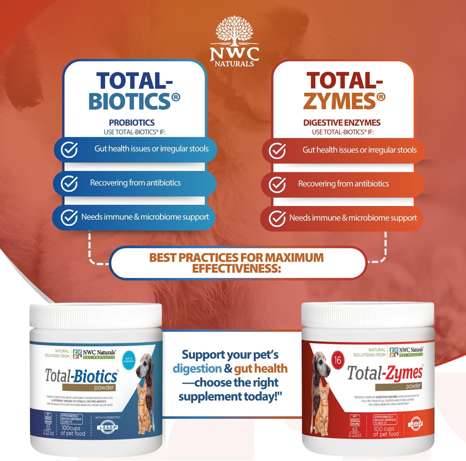 Mini Twin Pack Probiotics for Dogs and Cats – Digestive Enzymes & Probiotic Powder by NWC Naturals