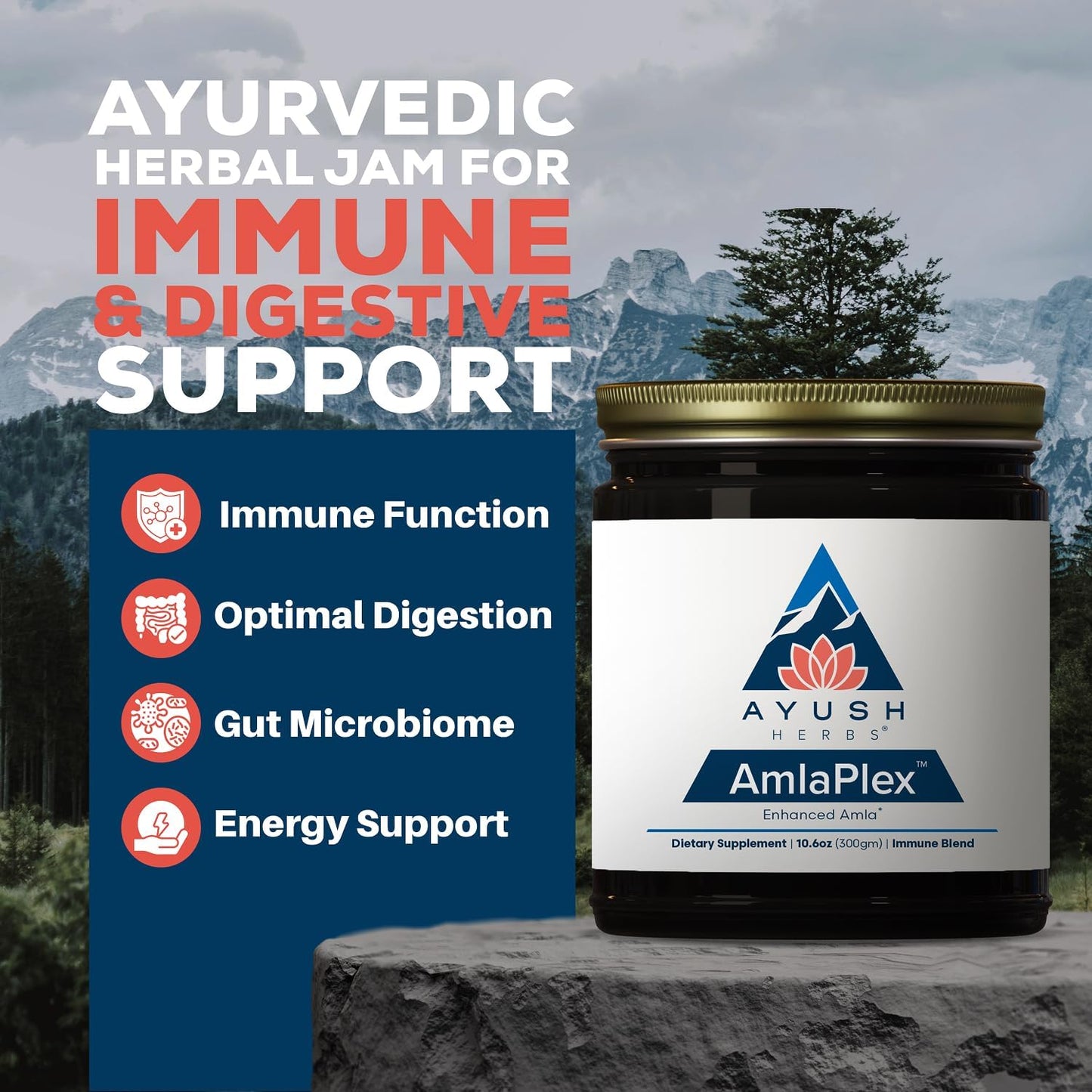 Ayush Herbs AmlaPlex – Amla Jam with Ashwagandha, 30 Servings - görsel 2