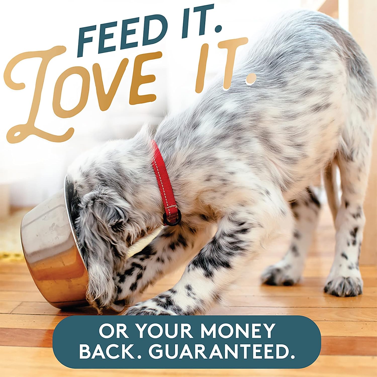 The Missing Link Pet Kelp Canine Probiotic - Organic & Limited Ingredient Formula for Digestive Health (227 g)