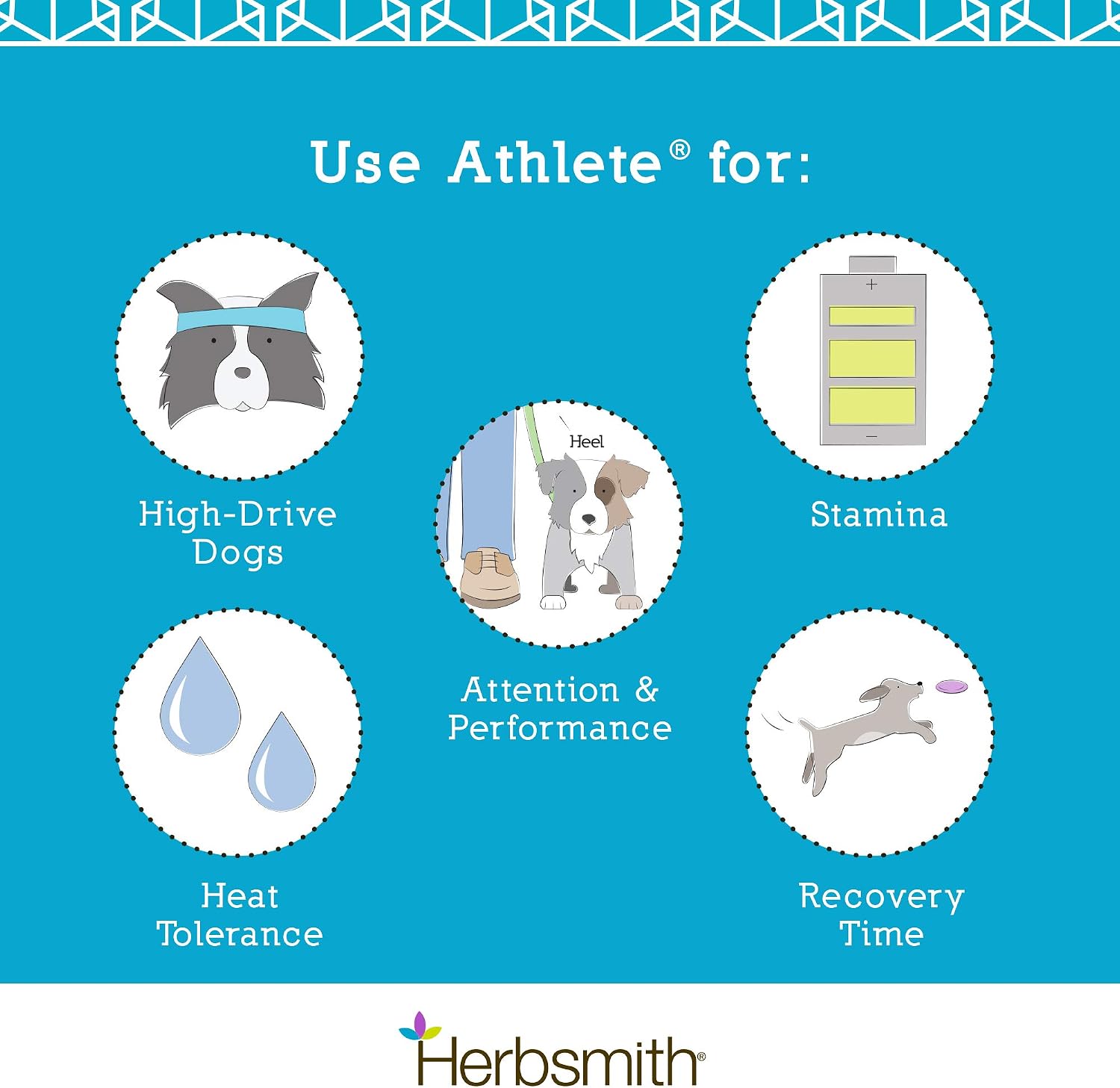 Herbsmith Athlete – Canine Endurance Supplement for Working and Agility Dogs (75 g Powder)