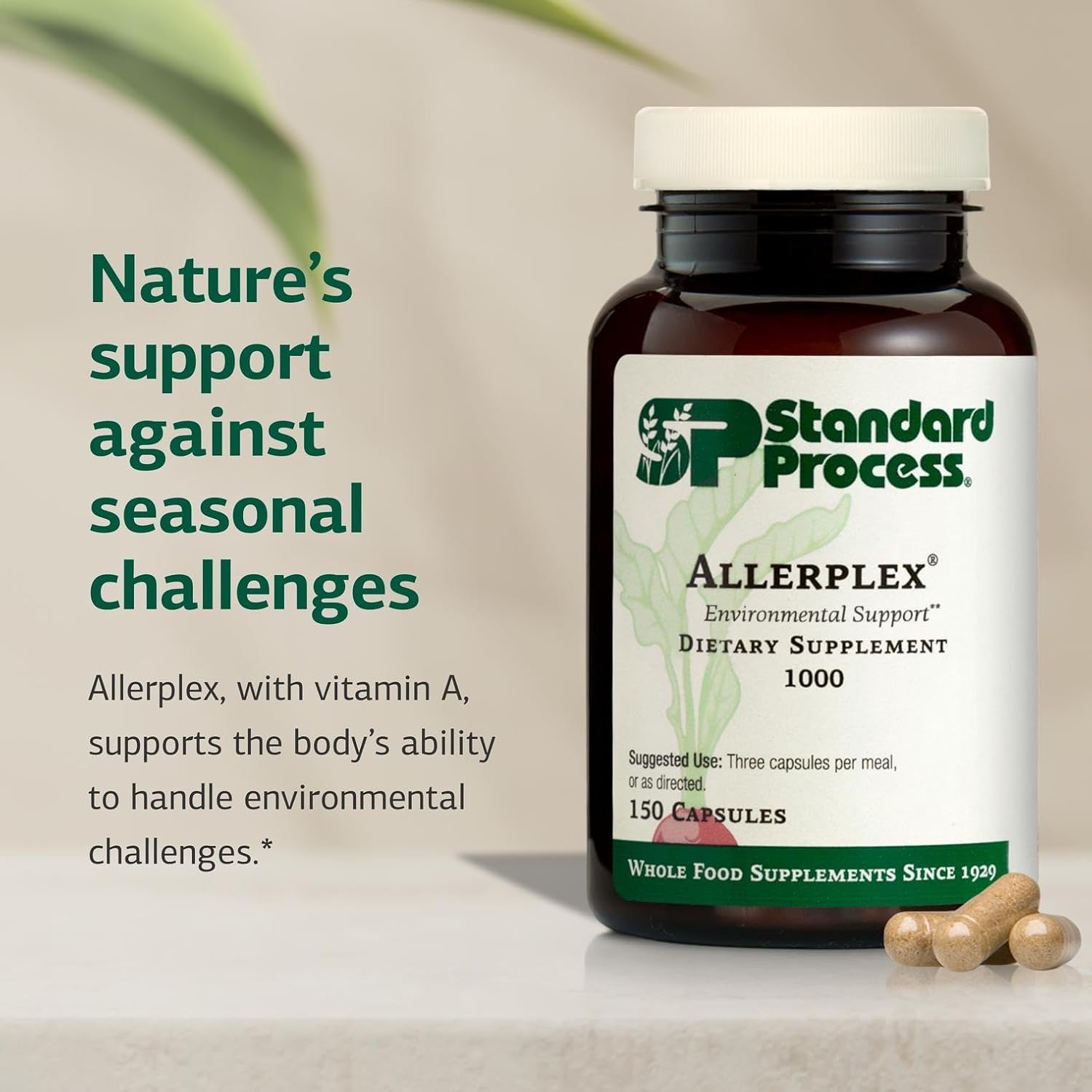 Standard Process Allerplex - Respiratory Health Supplement with Vitamin A & Pneumotrophin PMG - 150 Capsules
