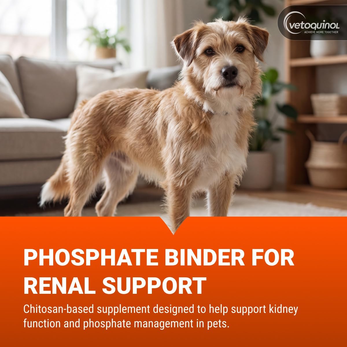 Vetoquinol Epakitin Chitosin-Based Phosphate Binder for Cats & Dogs – Renal Support Supplement Powder - 300g