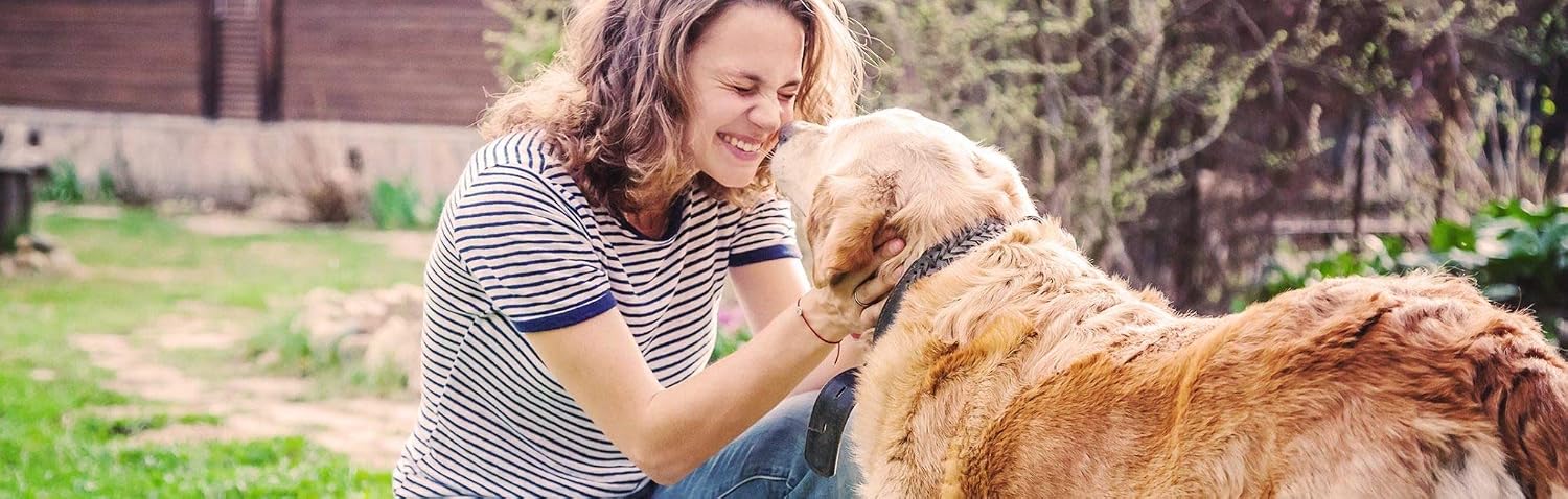 K9 Immunity Plus, Immune Support Supplement for Dogs Over 32 kg (70 lbs), Organic and Mushroom Enhanced, Pack of 2, 90 Chews