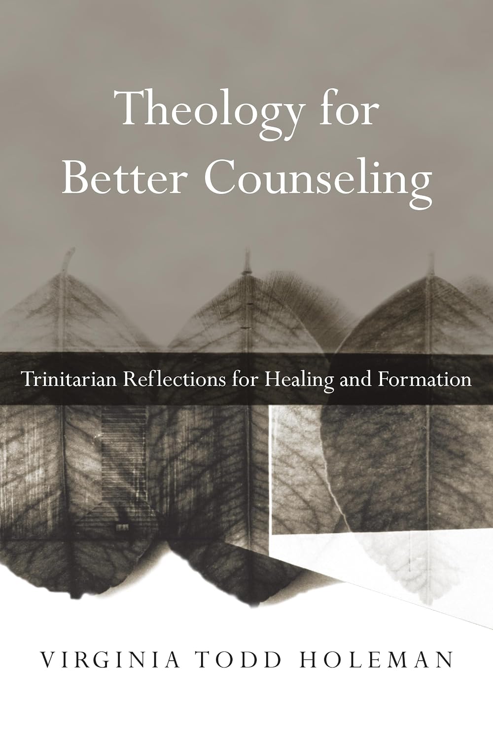 Theology for Better Counselling: Trinitarian Reflections for Healing and Formation (Christian Association for Psychological Studies Books)