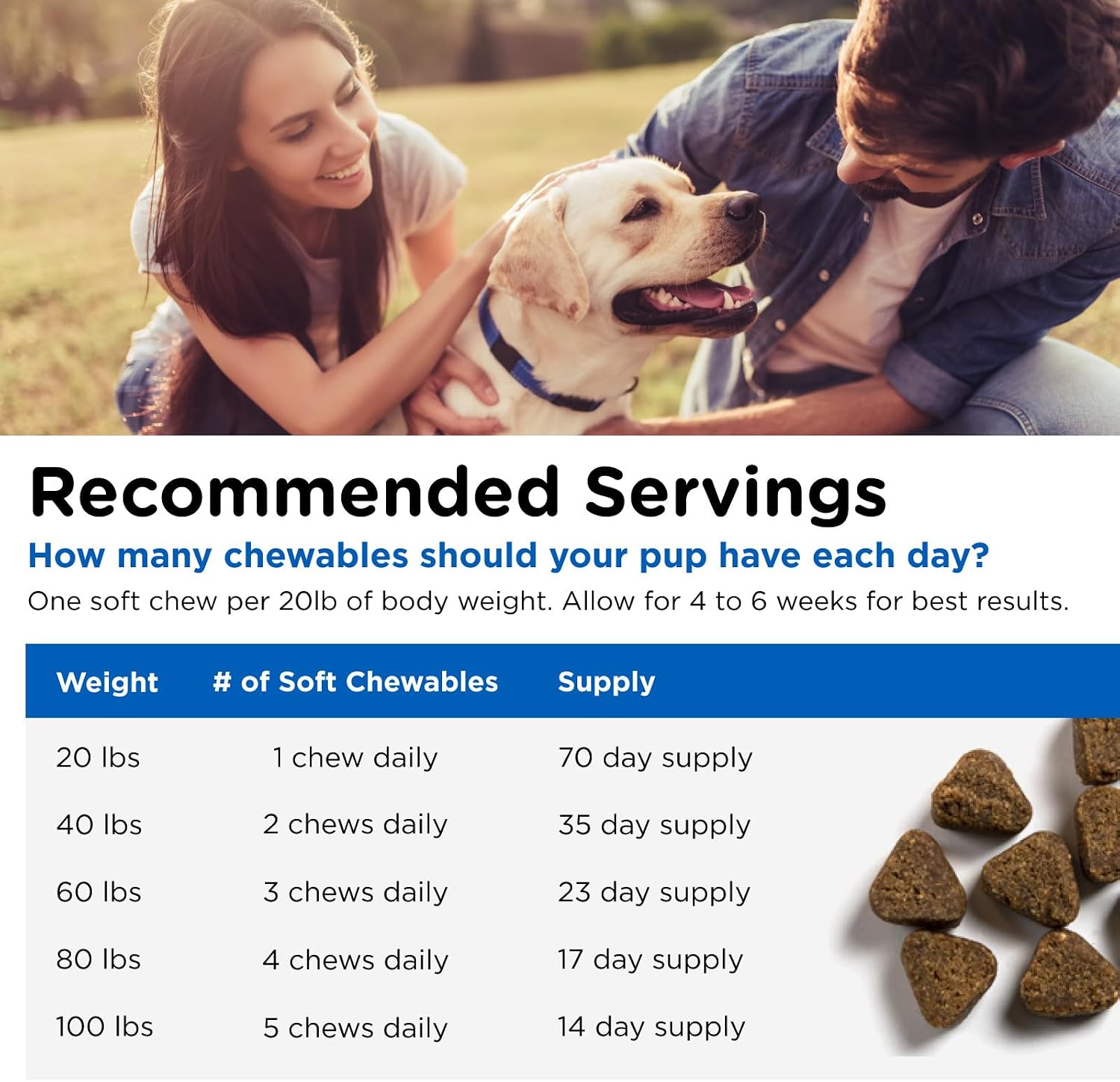 Nutri-Vet Adult-Vite Plus Dog Multivitamin Soft Chews, Daily Dog Supplement with Vitamins Minerals and Antioxidants, Supports Skin, Immune, Joint, and Gut Health, Tasty Chicken Flavour, 70 Count