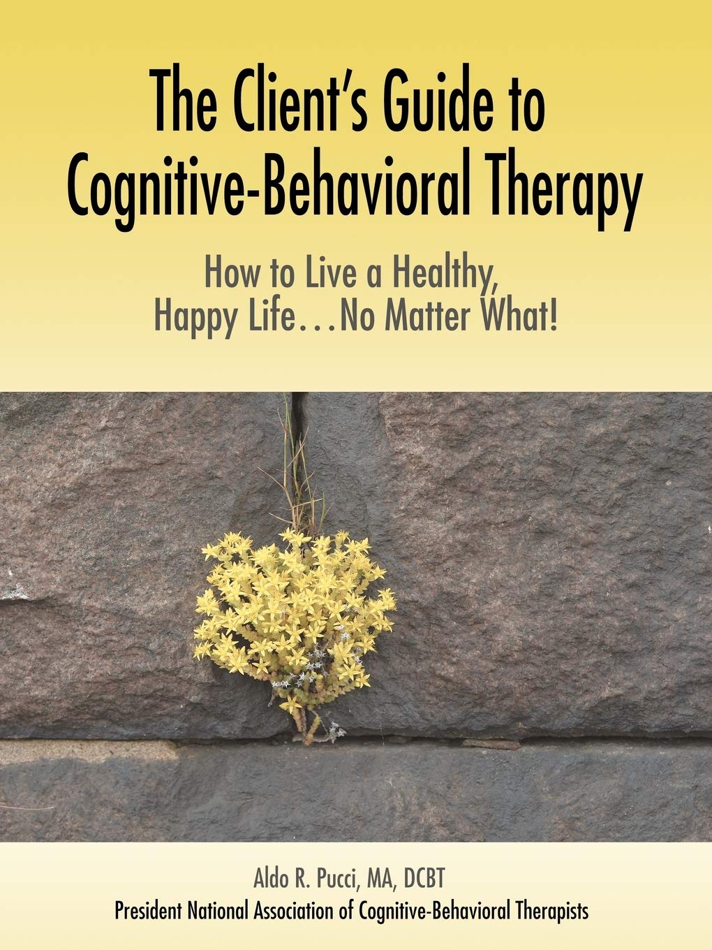 The Client's Guide to Cognitive-Behavioural Therapy: How to Live a Healthy, Happy Life...No Matter What!