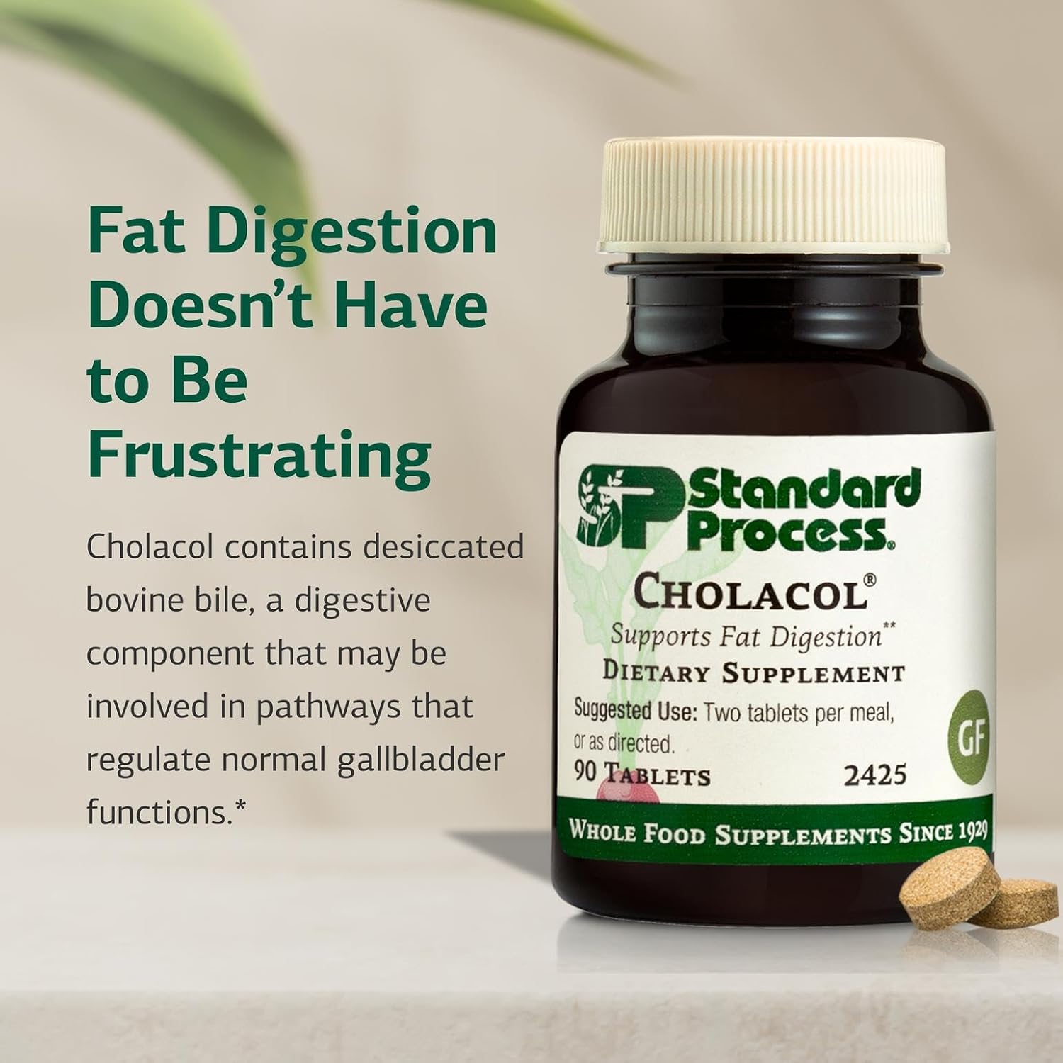 Standard Process Cholacol - Gallbladder Support Supplement - Fat Digestion & Bile Support - Gluten-Free, Dairy-Free, Soy-Free - 90 Tablets
