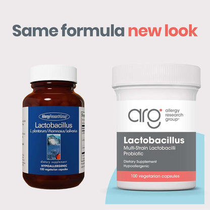 ARG Lactobacillus – Multi-Strain Probiotic Capsule – 100 Capsules