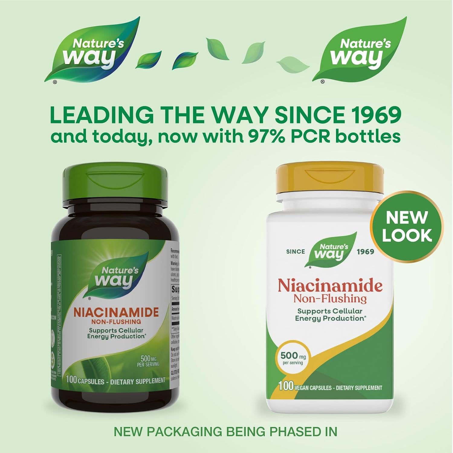Nature's Way Niacinamide - Non-Flushing Vitamin B3, 500 mg, 100 Capsules