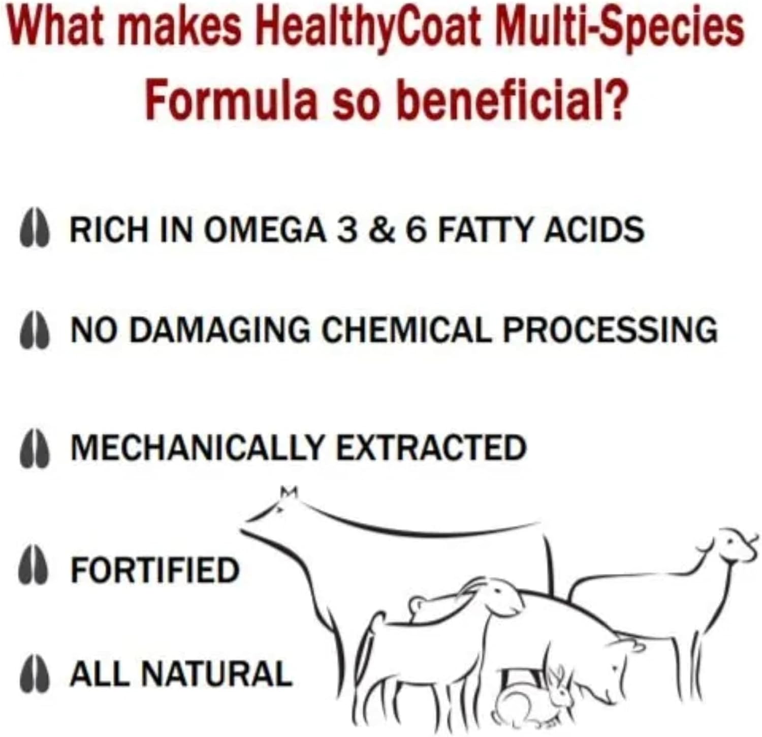HealthyCoat Dog Food Supplement – Omega 3 & 6 Fatty Acids, Bacon Flavour, Gallon (3.78 L)