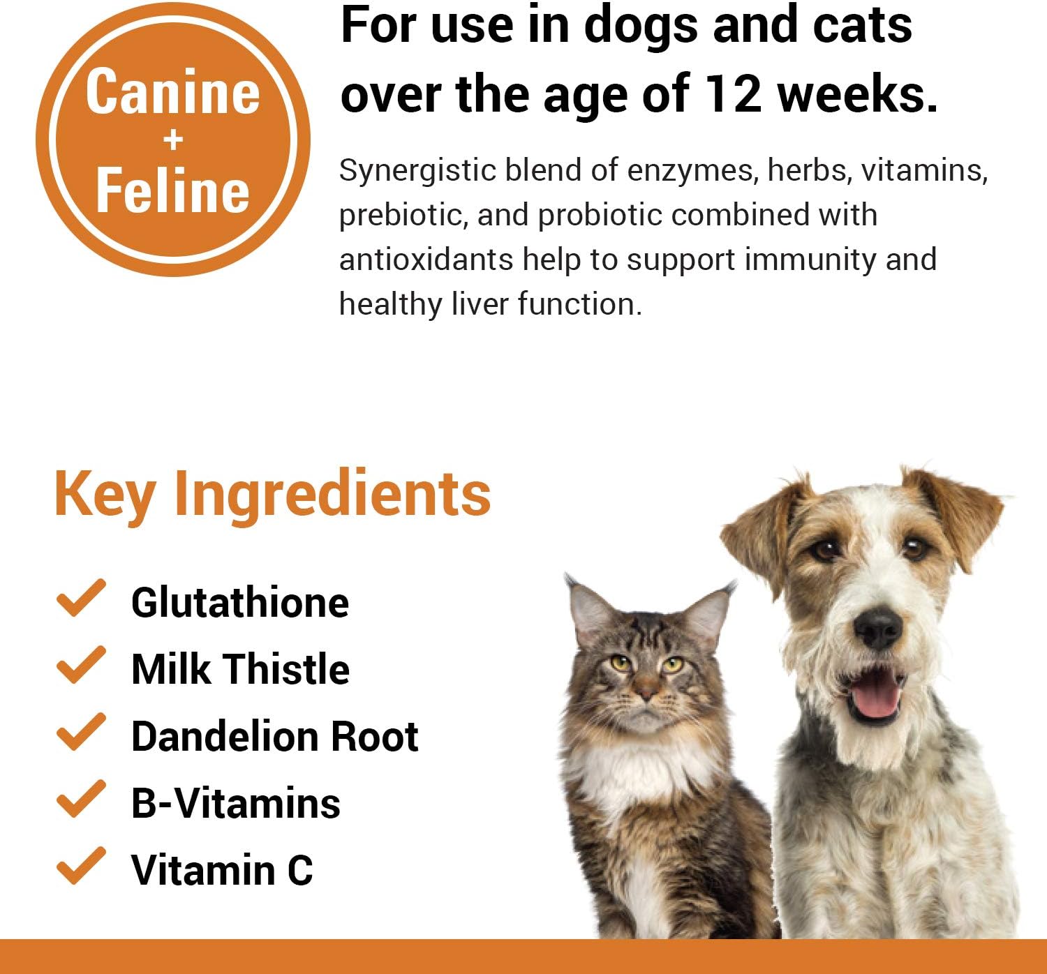 Vet Classics Liver Support Pet Health Supplement for Dogs and Cats – Liver Functions – B-Vitamins, Glutathione, Milk Thistle – 60 Chewable Tablets (Canada)