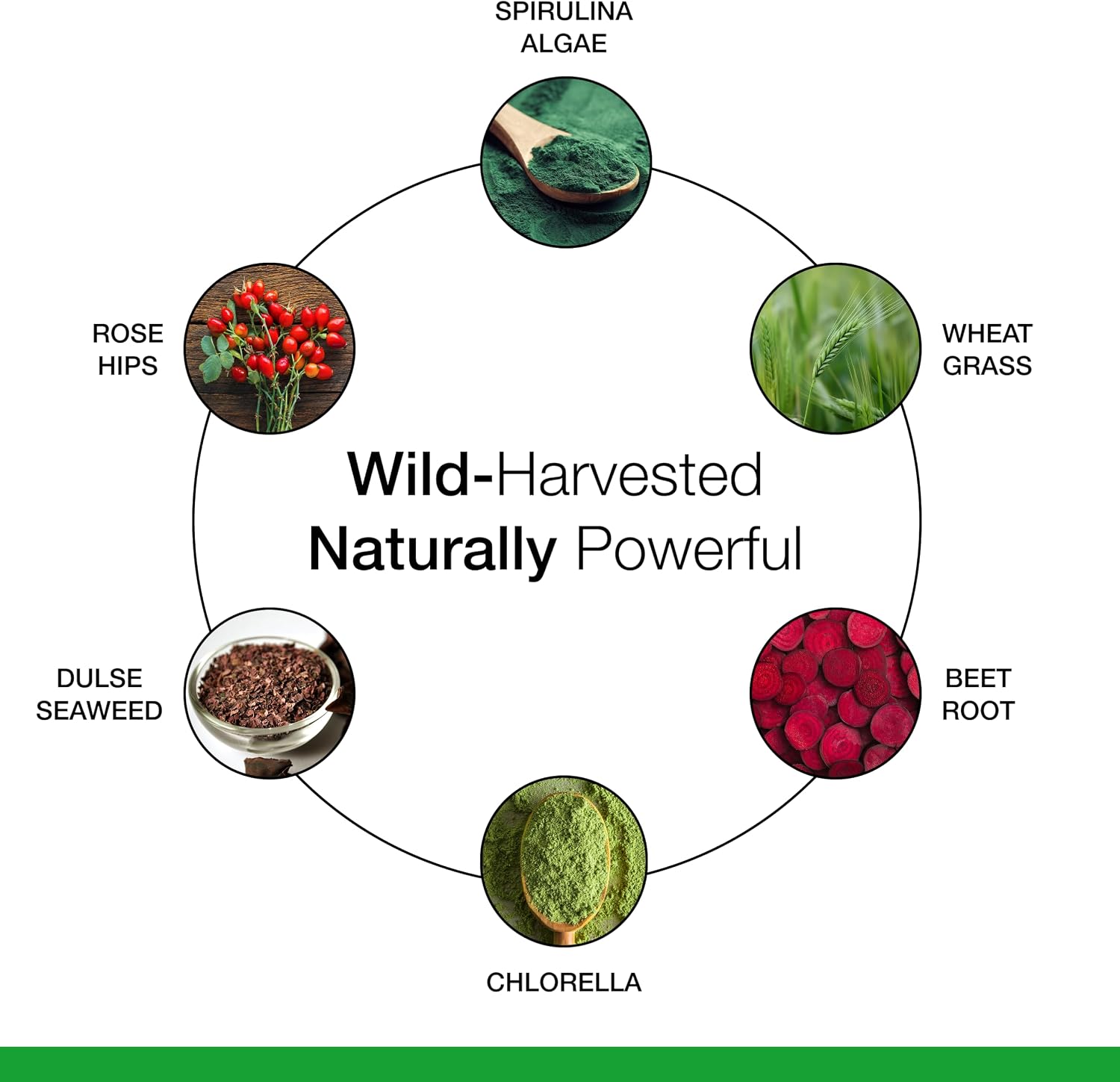 Dr. Schulze's SuperFood Plus – Whole Food Superfood Powder for Natural Energy and Vitality