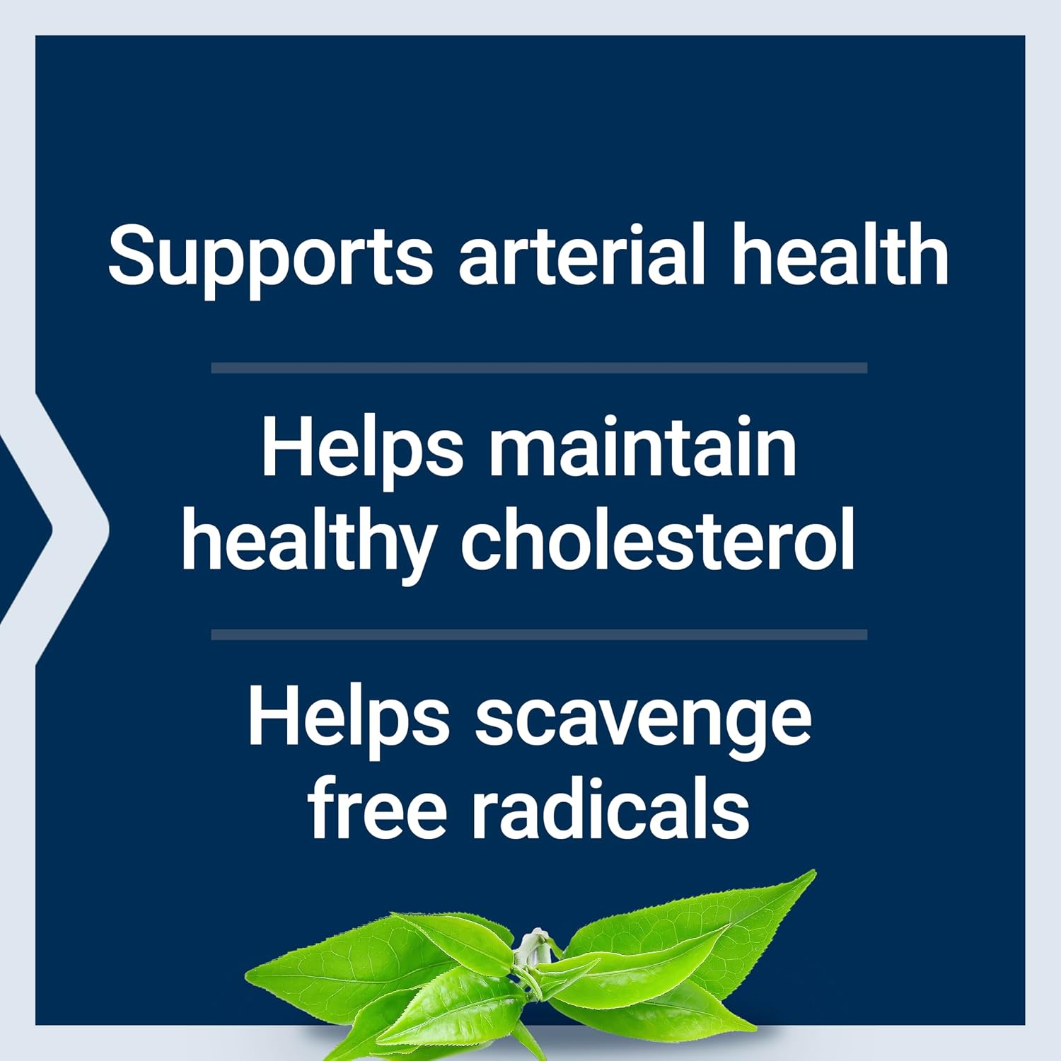 Life Extension Theaflavin Standardized Extract – Tea Leaf Flavonoids for Arterial Health Support – 30 Capsules