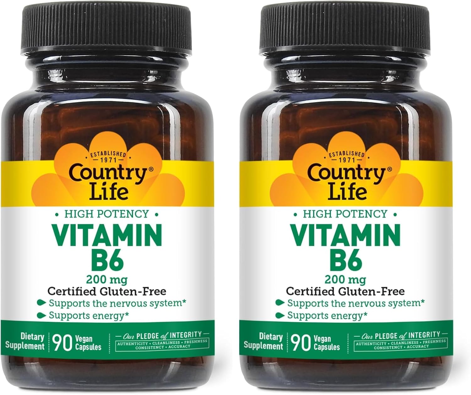 Country Life Vitamin B-6 - High Potency - 200 mg - 90 Vegan Capsules