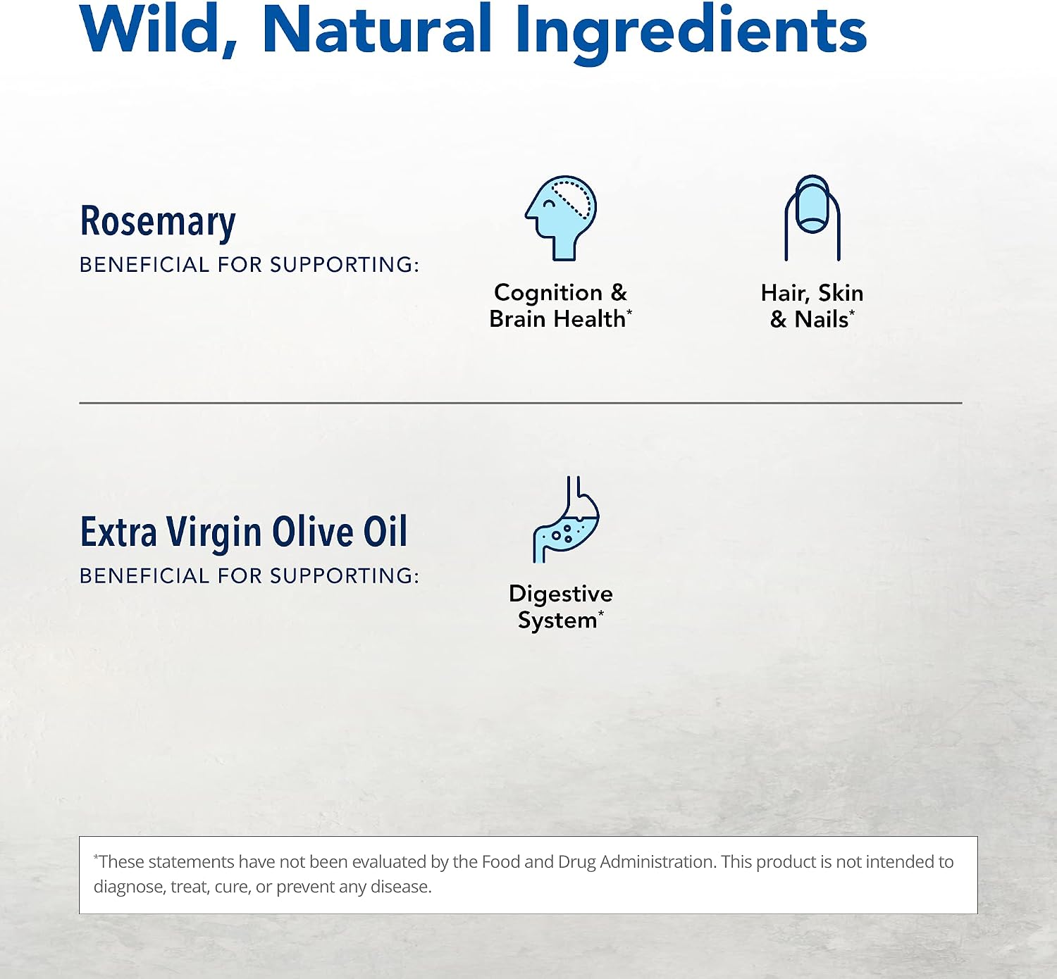 Rosemanol Wild Rosemary Oil - Nerve Health & Antioxidant Support