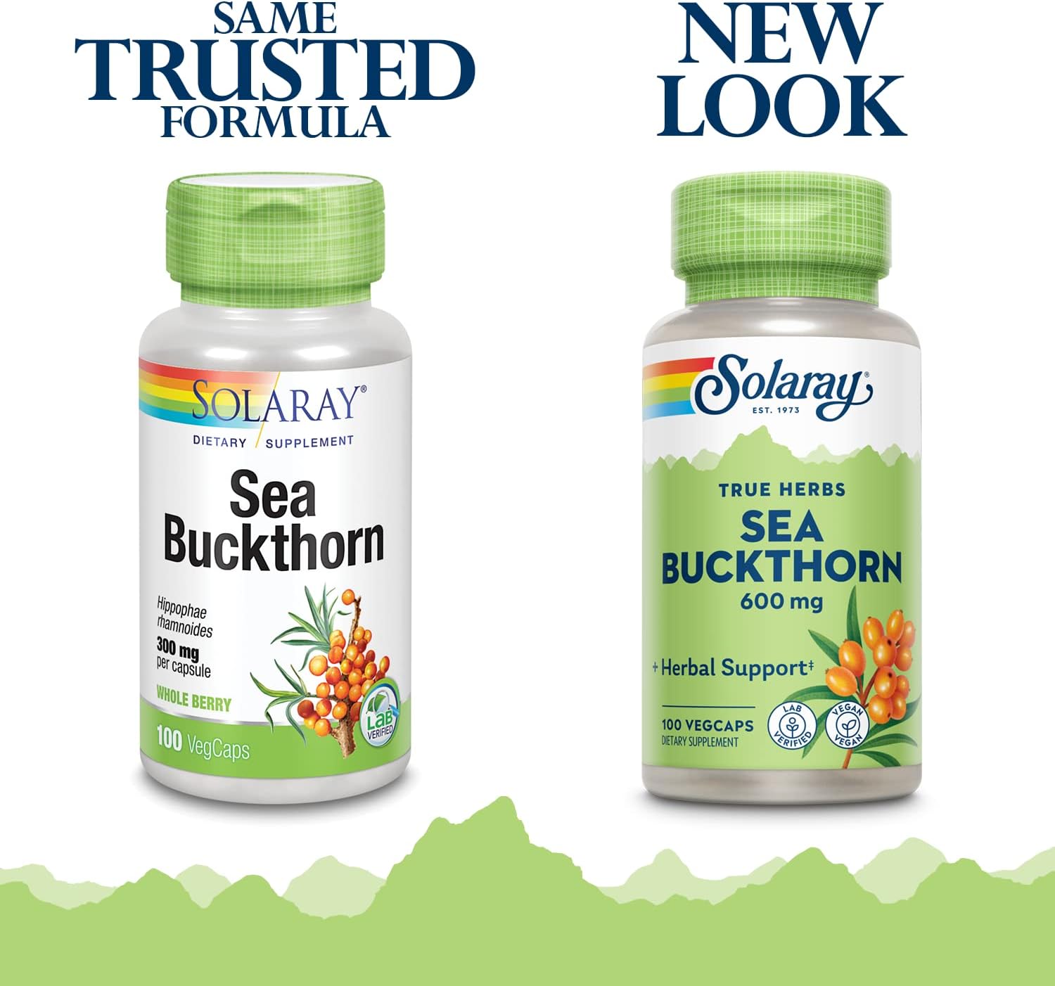 SOLARAY Sea Buckthorn Berry, 600 mg, 100 Veg Capsules