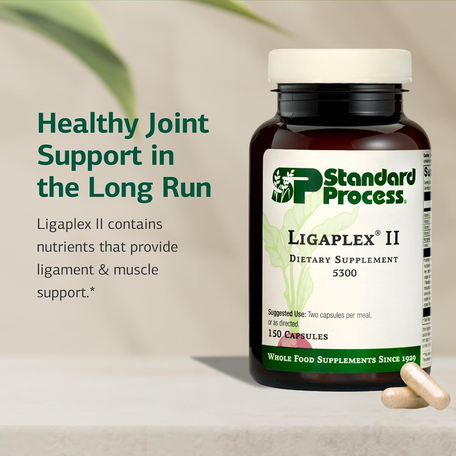 Standard Process Ligaplex II - Joint & Bone Support - Manganese Supplement with Vitamin B12, A & D - 150 Capsules