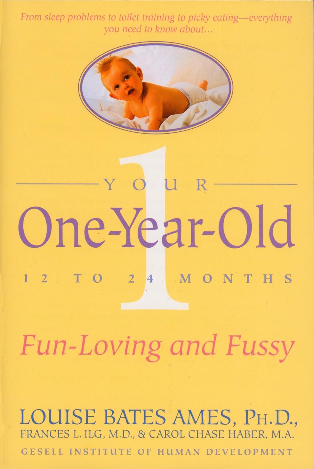 Your One-Year-Old: The Fun-Loving, Fussy 12- to 24-Month-Old