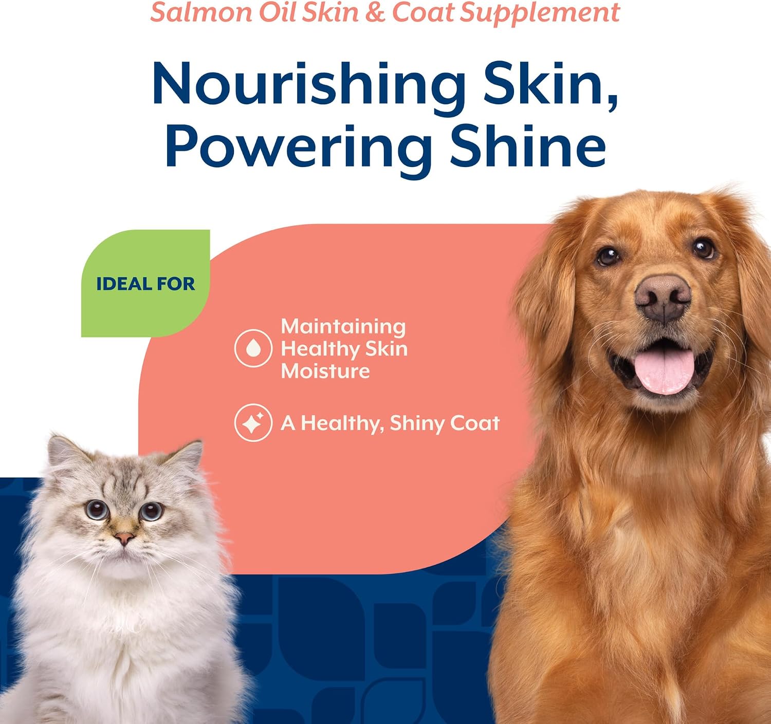 NaturVet Salmon Oil Skin & Coat Plus Omegas – Supports Healthy Skin & Glossy Coat – Source of Omega-3 & 6 Fatty Acids – for Dogs & Cats (8.75 oz Oil)