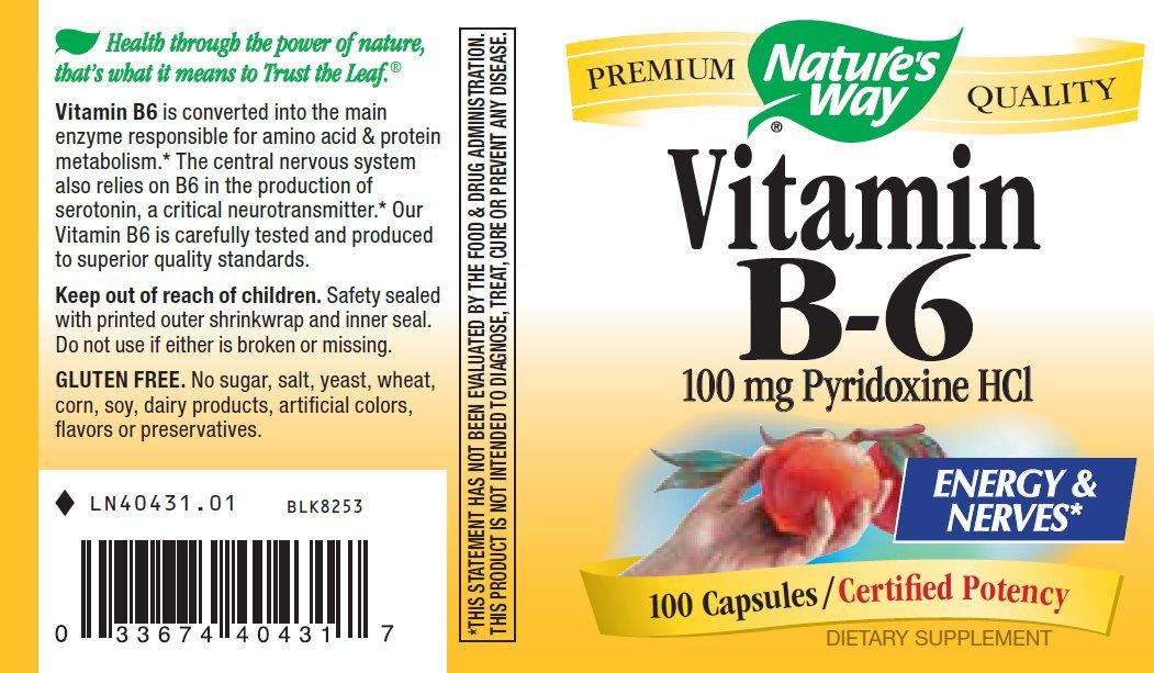 Nature's Way B-6 100 mg, 100 Capsules (Pack of 2)
