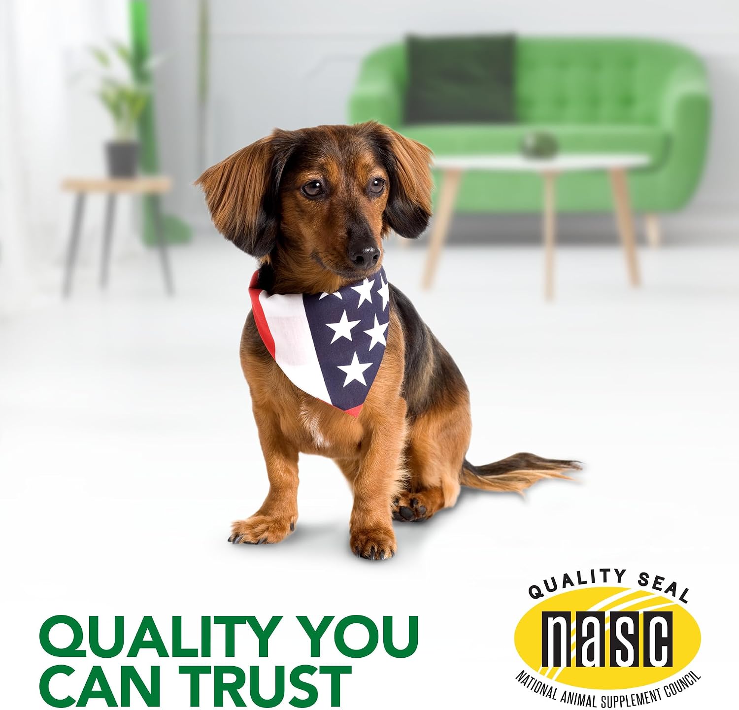 Vet's Best Dog Allergy Chews, Seasonal Allergy Chews for Dogs, 60 Chewable Tablets