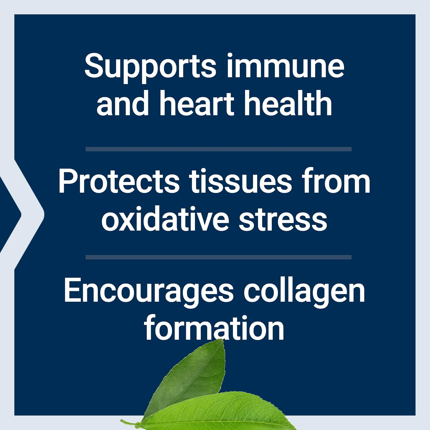 Life Extension Buffered Vitamin C Powder – Gentle on the Stomach, with Minerals