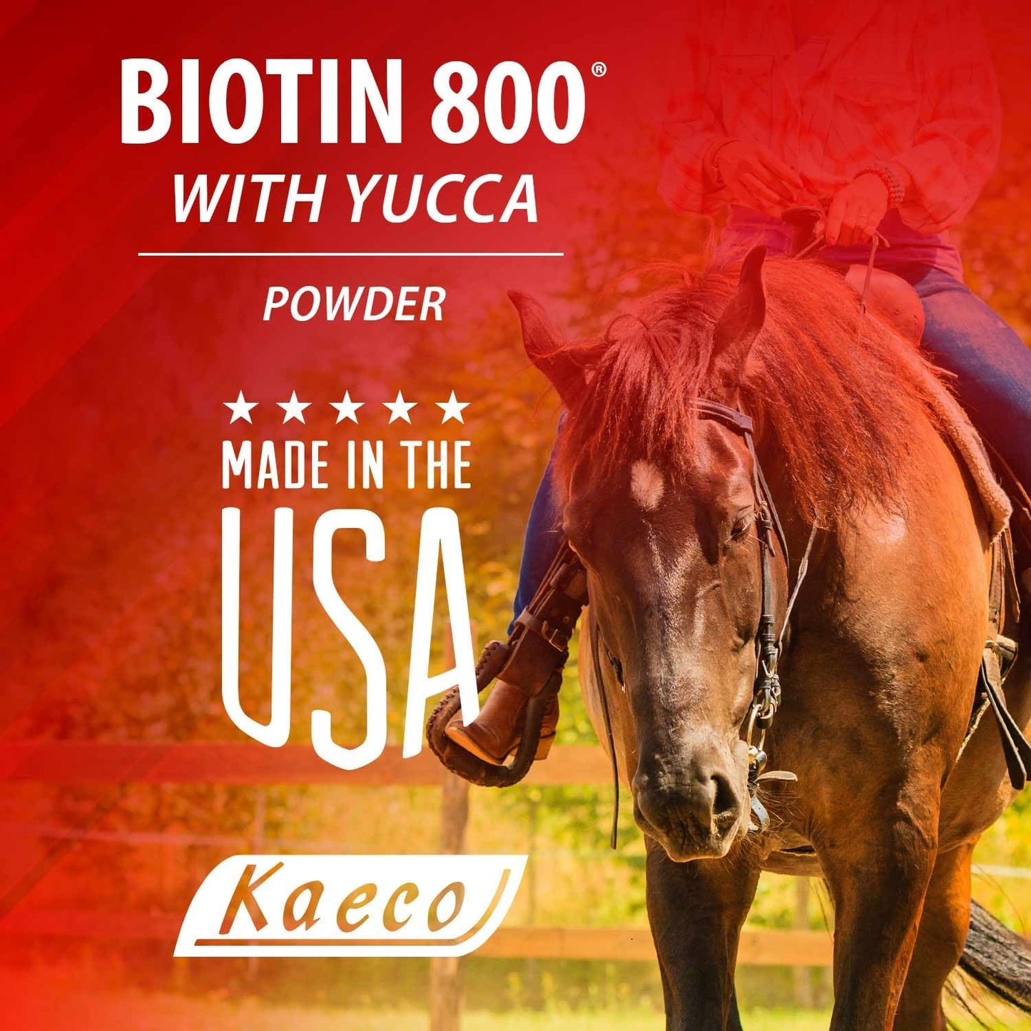 Biotin 800 Powder by Kaeco - görsel 4