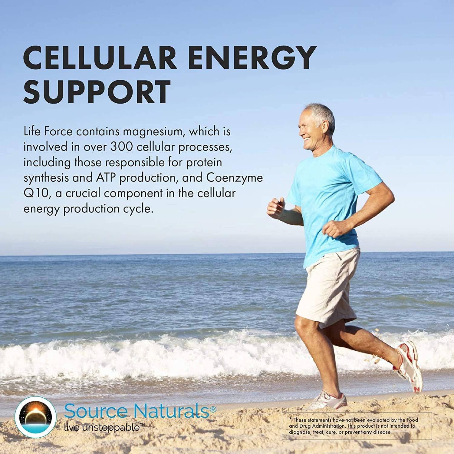 Source Naturals Life Force Multiple Daily Multivitamin – High Potency Essential Vitamins & Minerals – 30 Tablets