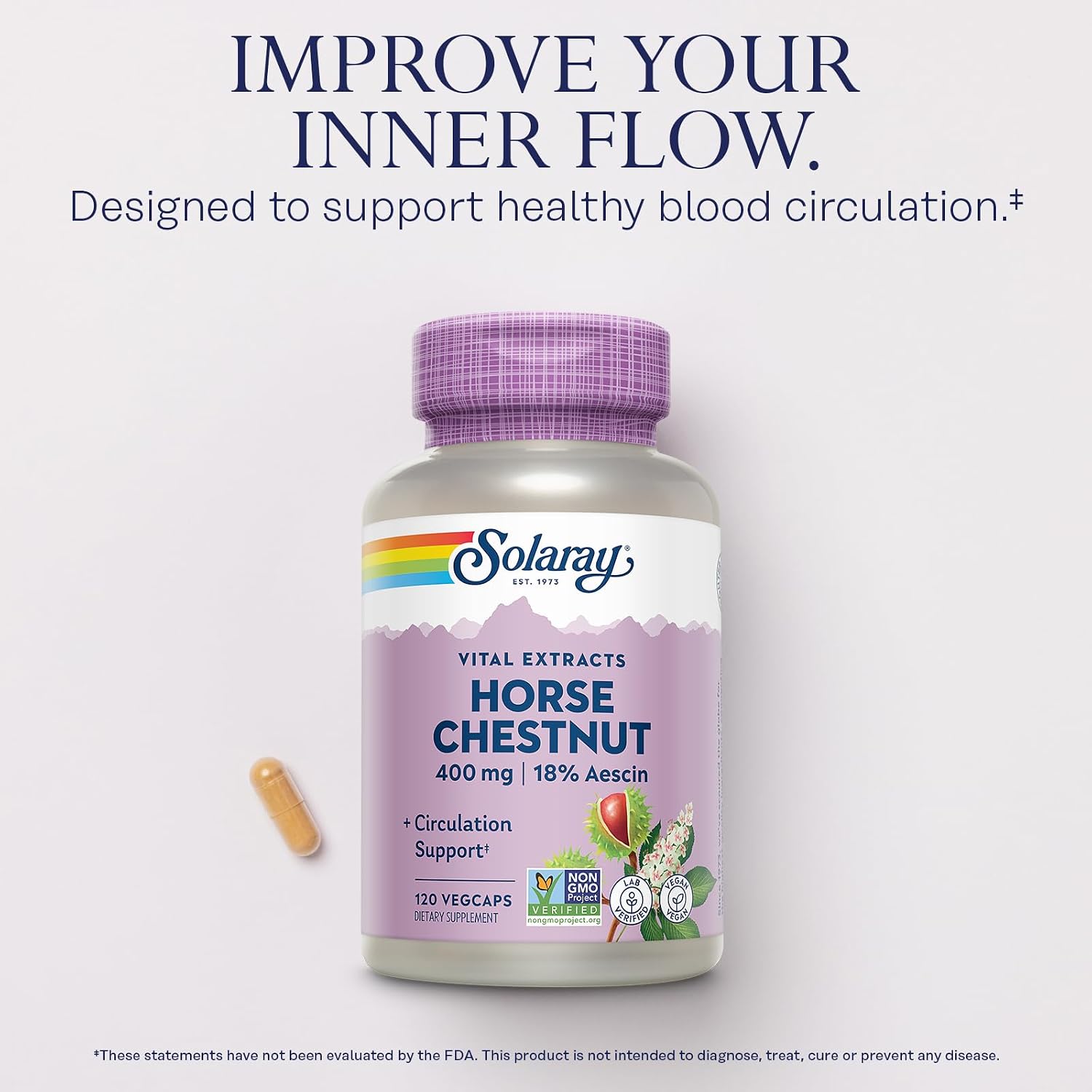 SOLARAY Horse Chestnut Extract 400 mg – Standardized to 72 mg Aescin with Butcher's Broom – Vein & Circulation Support – Vegan, Non-GMO – 120 Veg Caps