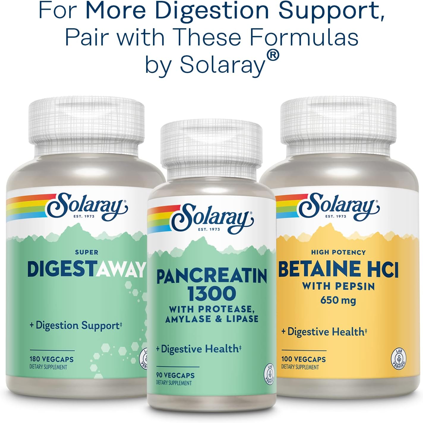 SOLARAY Mastic Gum Extract 1000 mg - 45 Vegetarian Capsules - Digestive Health Support
