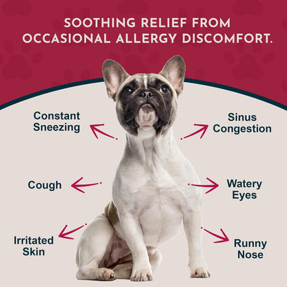 Animal Essentials Seasonal Allergy Liquid Herbal Support for Dogs & Cats – 30 mL