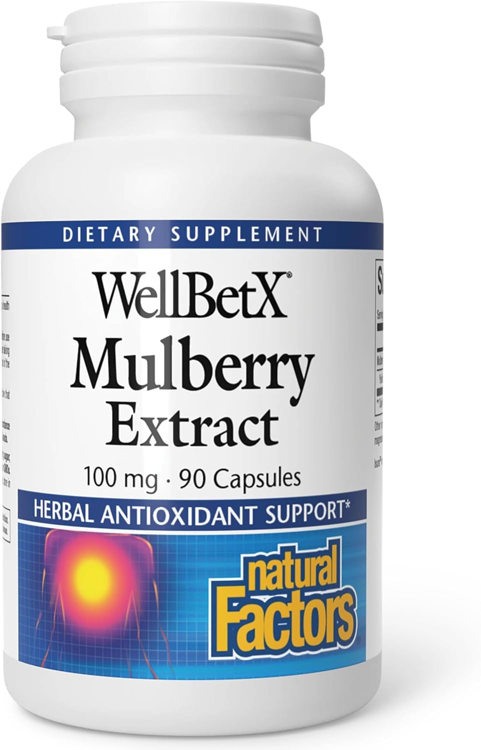 Natural Factors WellBetX Mulberry Extract - Standardized Moranoline for Carbohydrate Metabolism - 90 Capsules