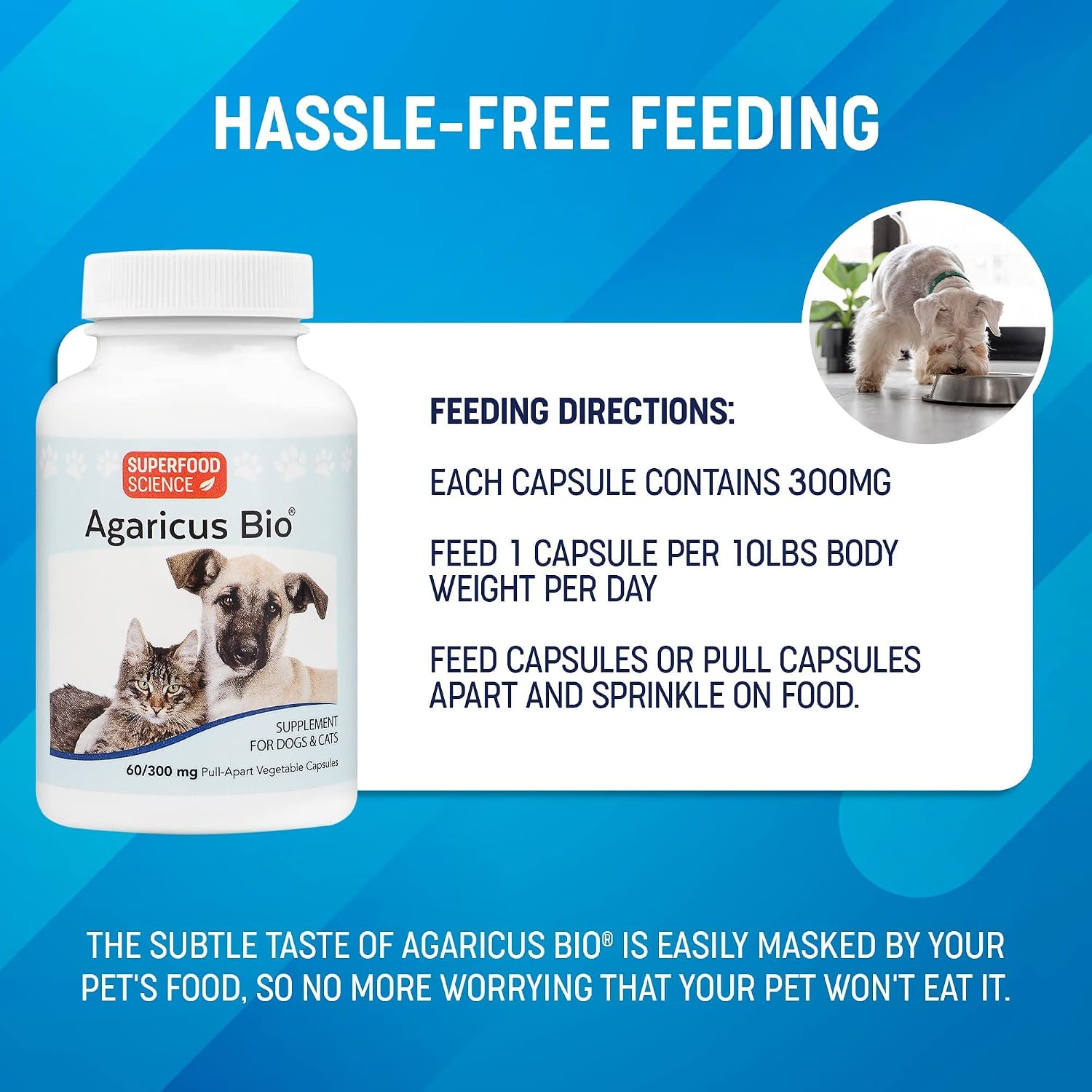 Agaricus Bio 300mg for Dogs and Cats – Beta Glucan Mushroom Pet Supplement, 60 Capsules