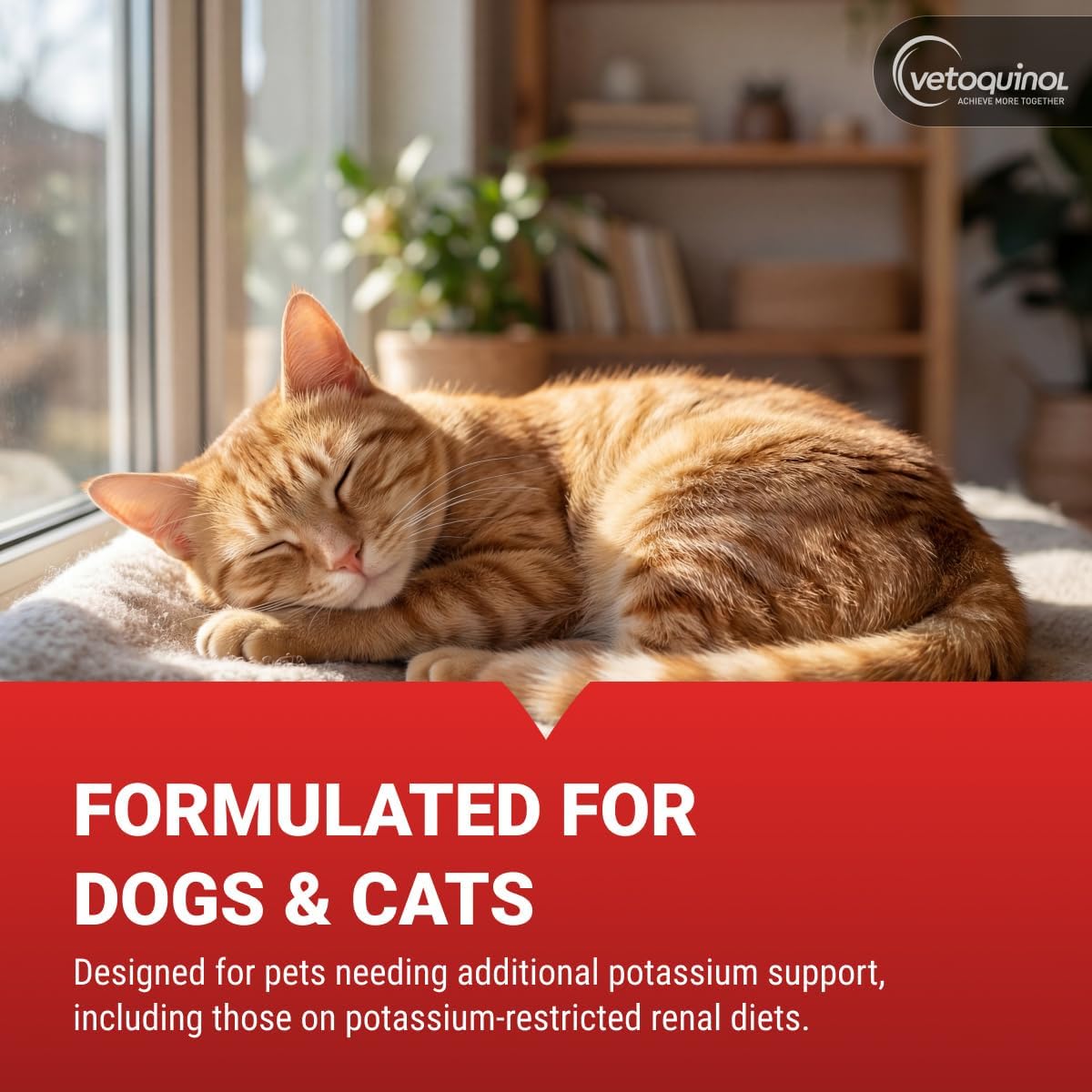Vetoquinol Renal K - Potassium Supplement for Dogs & Cats - Supports Managing Potassium Levels - Palatable Gel with Maple Flavour - 5 oz