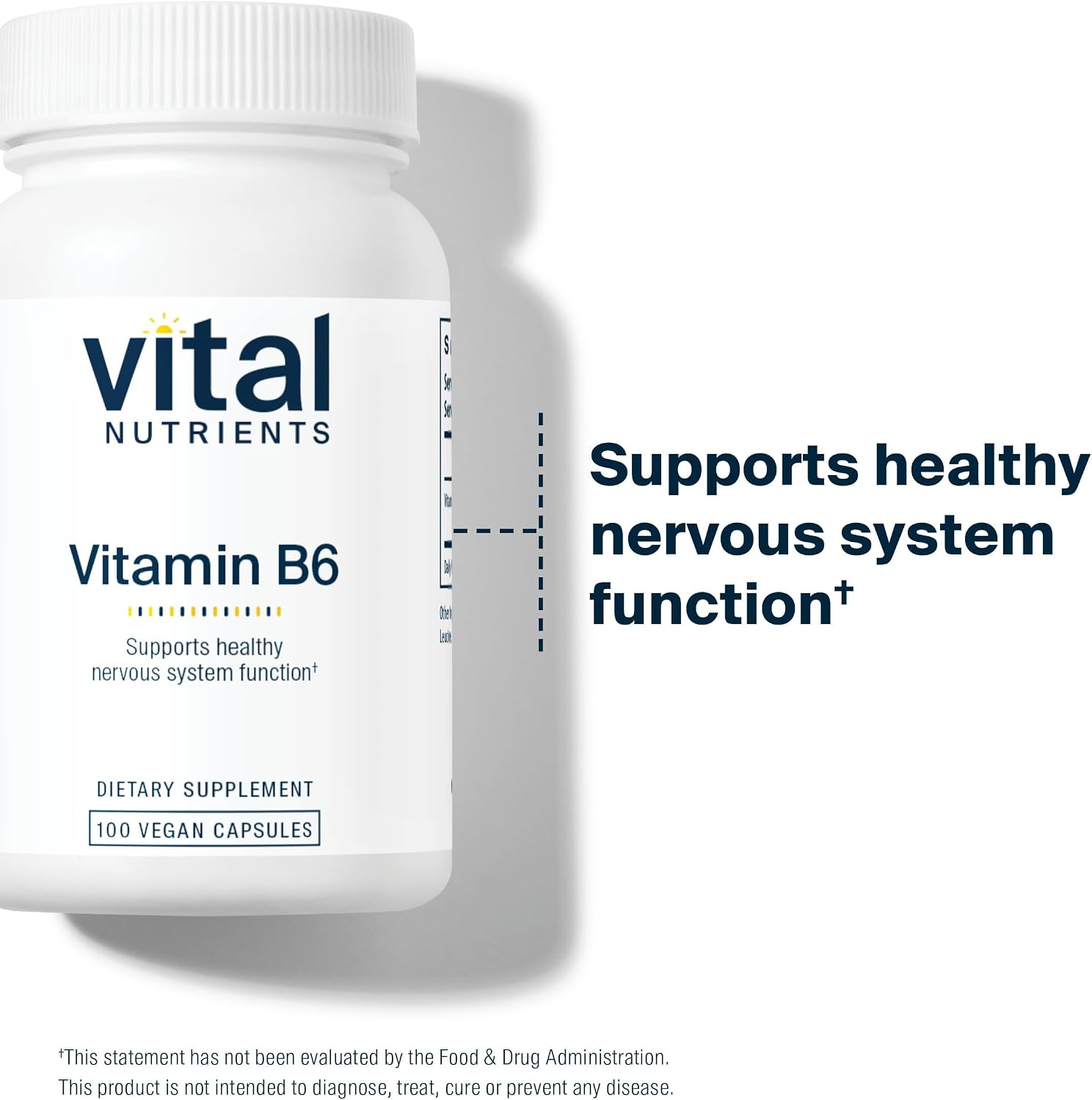 Vital Nutrients Vitamin B6 - 100 mg Pyridoxine HCl, 100 Capsules
