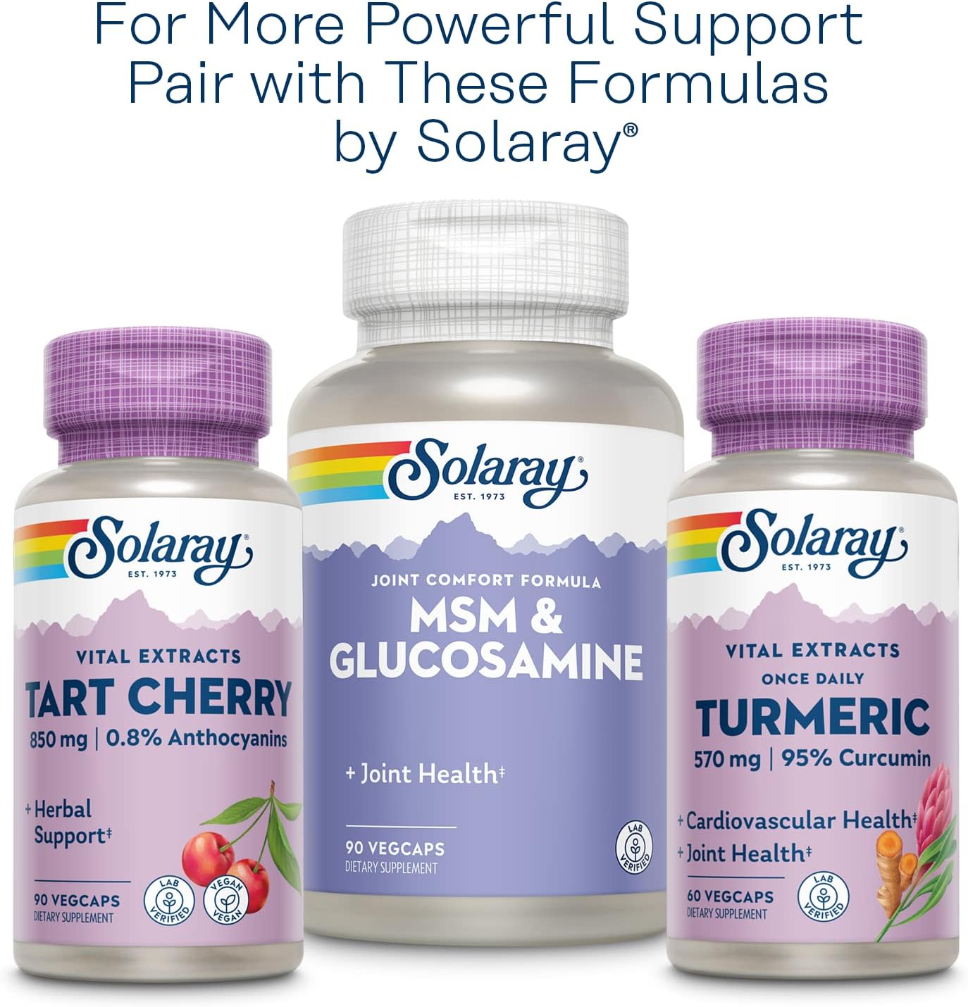 Solaray Celery Seed, 505 mg, 100 Vegetarian Capsules