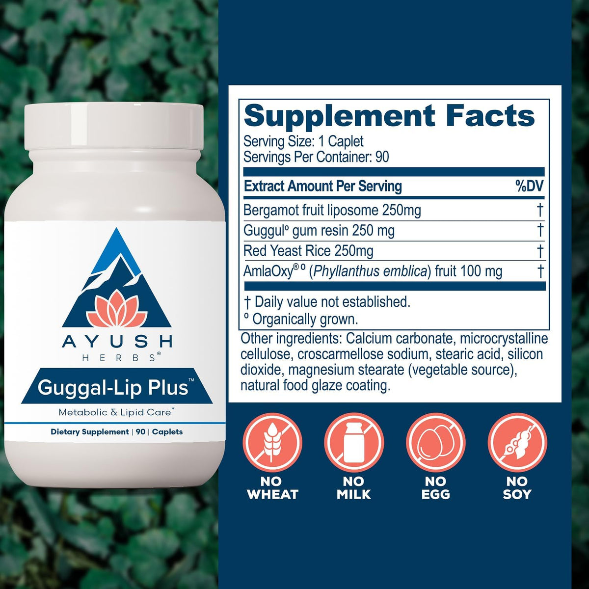 Ayush Herbs Guggal-Lip Plus - Metabolic Support Supplement with Guggul, Amla, and Bergamot - 90 Tablets - görsel 3