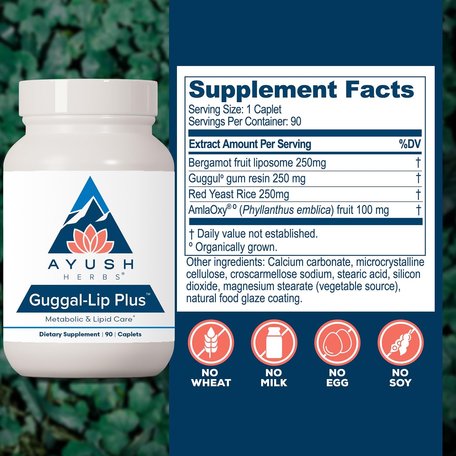Ayush Herbs Guggal-Lip Plus - Metabolic Support Supplement with Guggul, Amla, and Bergamot - 90 Tablets - görsel 3