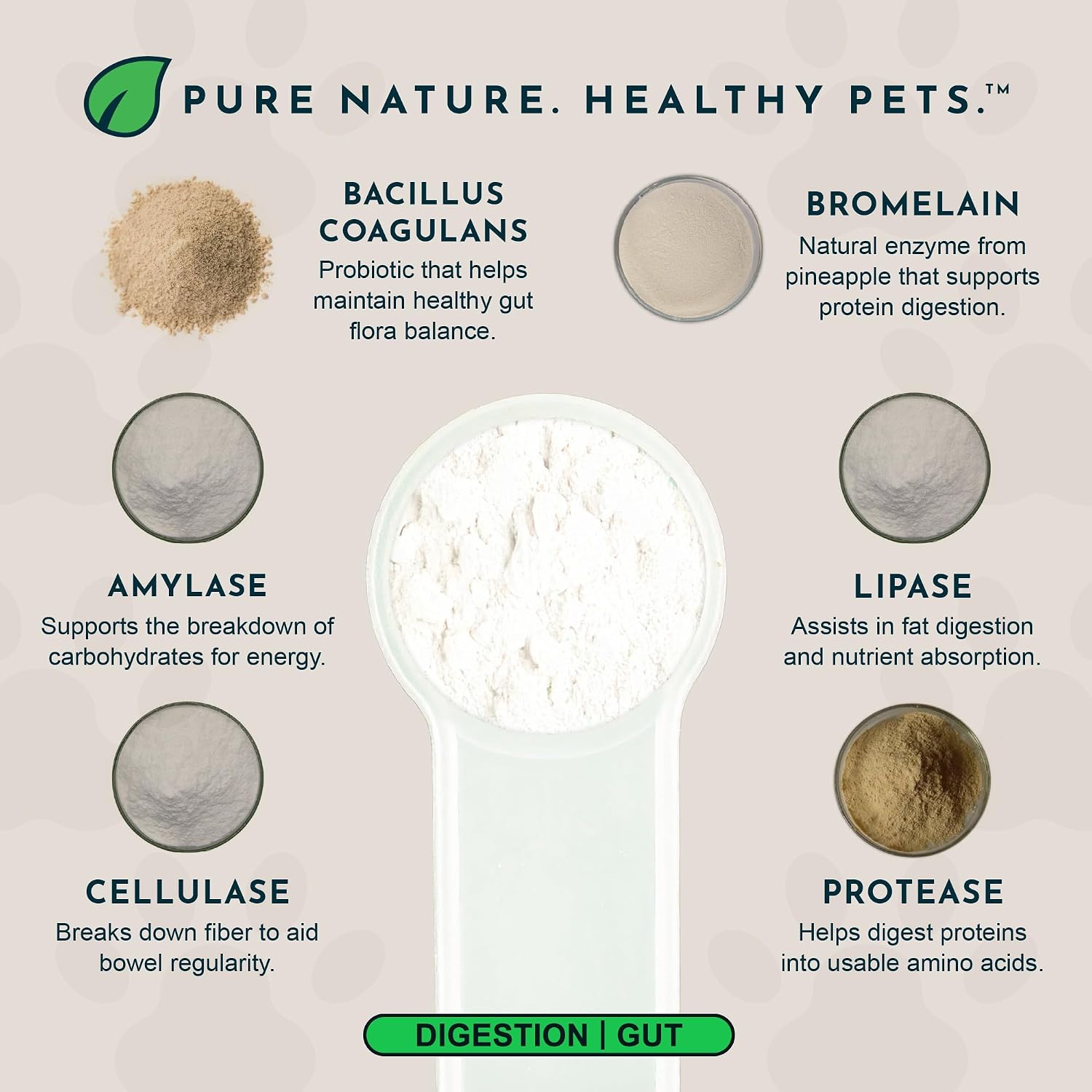 Animal Essentials Plant Enzyme & Probiotics - Probiotic & Digestive Enzyme Powder for Dogs & Cats, 300 g