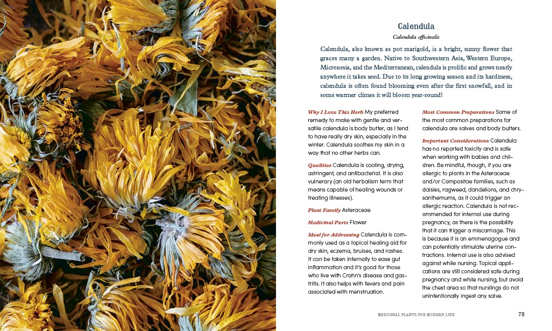 Herbal Medicine for Modern Life: Traditional Folk Remedies for Everyday Health and Well-Being