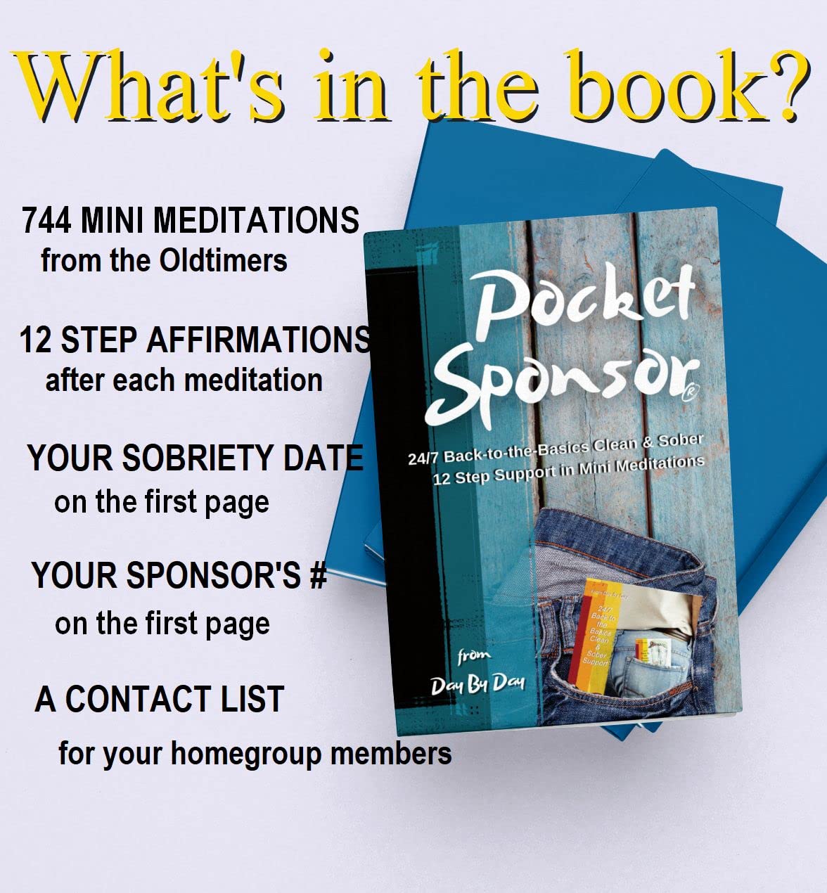 Pocket Sponsor: 24/7 Back-to-the-Basics Clean & Sober 12 Step Support in Mini Meditations