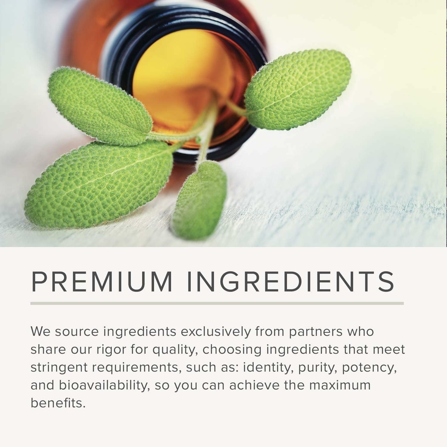 Integrative Therapeutics Vitex Extract – Menstrual & Premenstrual Support Supplement