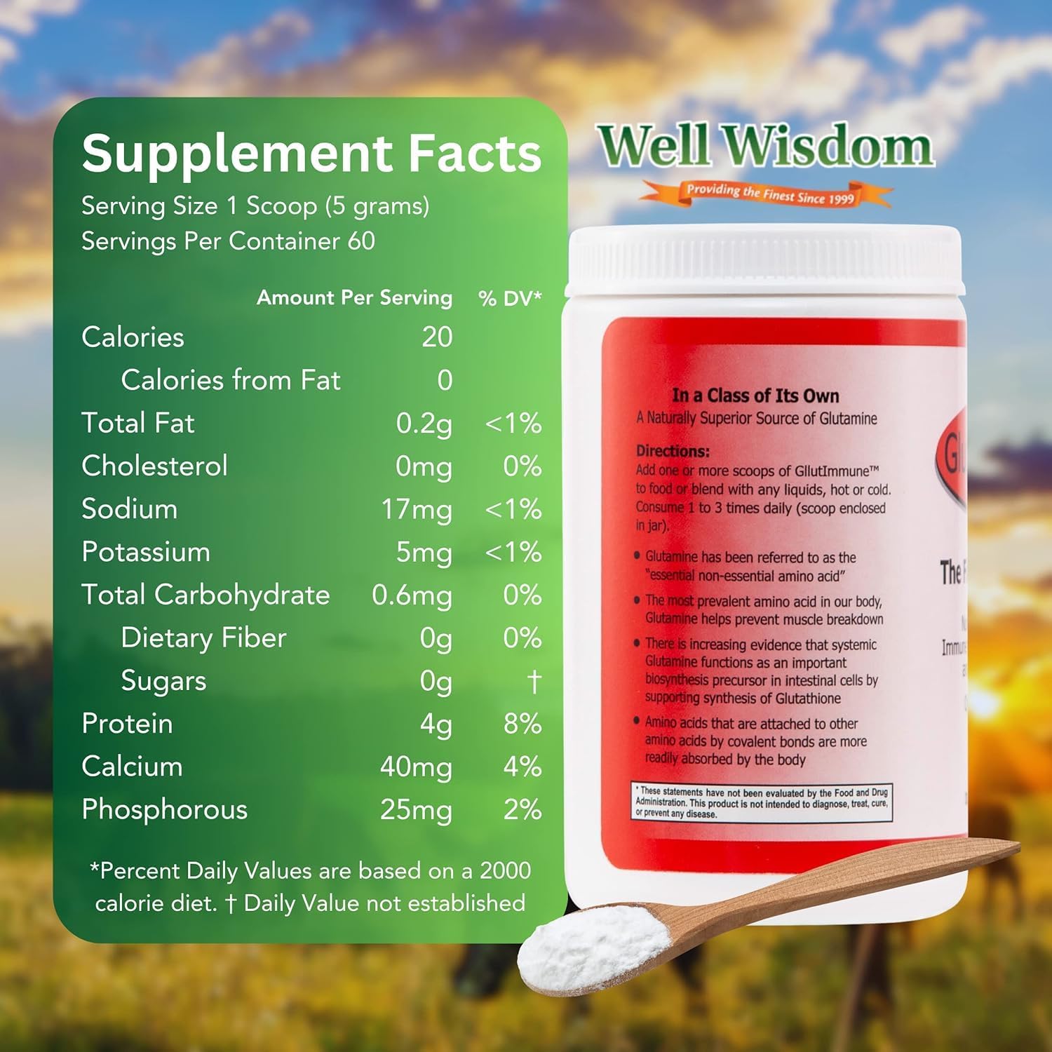 Well Wisdom Glut Immune - Covalent Bonded Glutamine Powder, Dairy-Free, 300 g (60 Servings)
