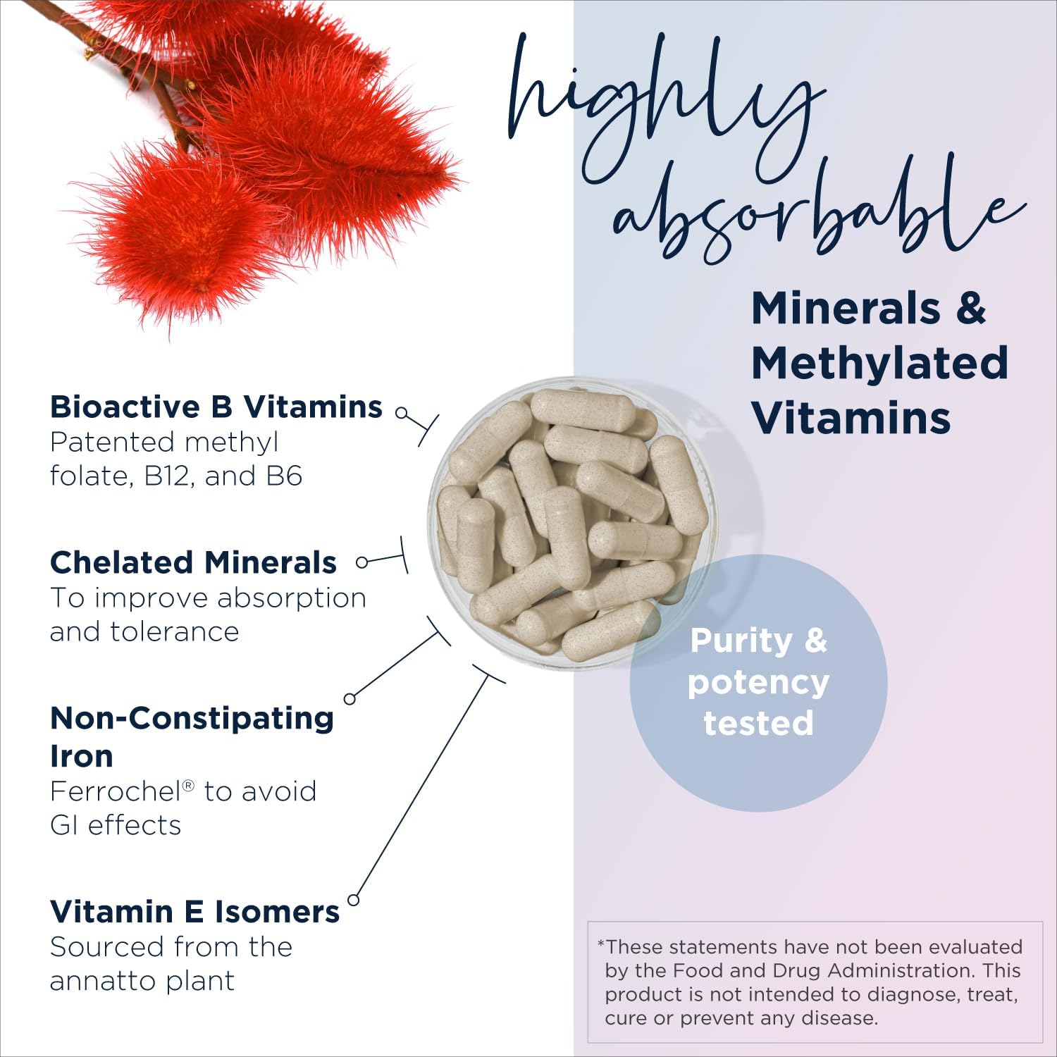 Designs for Health Prenatal Pro Methylated Multivitamin for Women (120 Capsules) - Canada