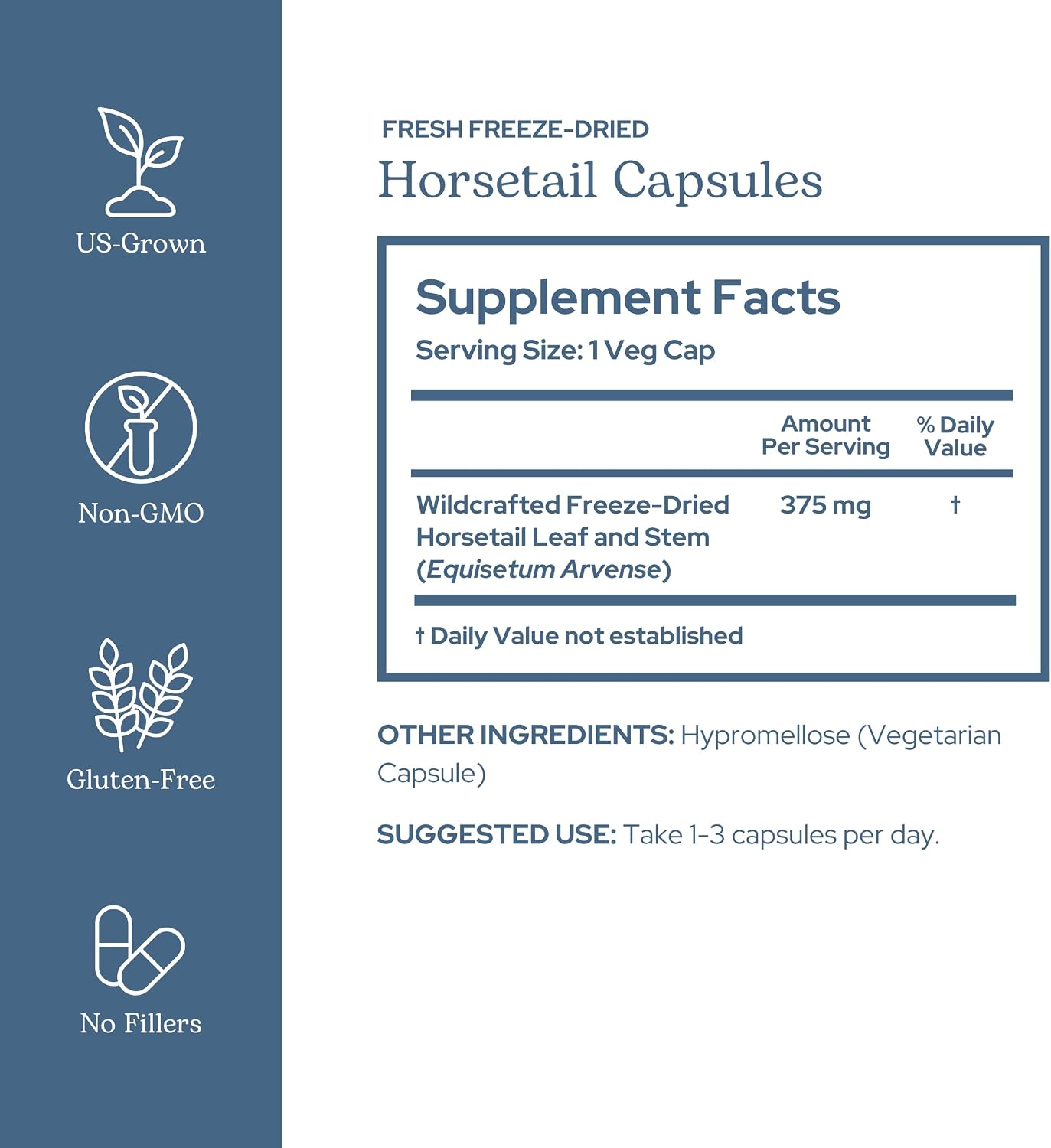 Eclectic Herb Horsetail Capsules - Mineral and Nutritional Support for Hair, Skin, and Nails, Freeze-Dried, 90 Capsules