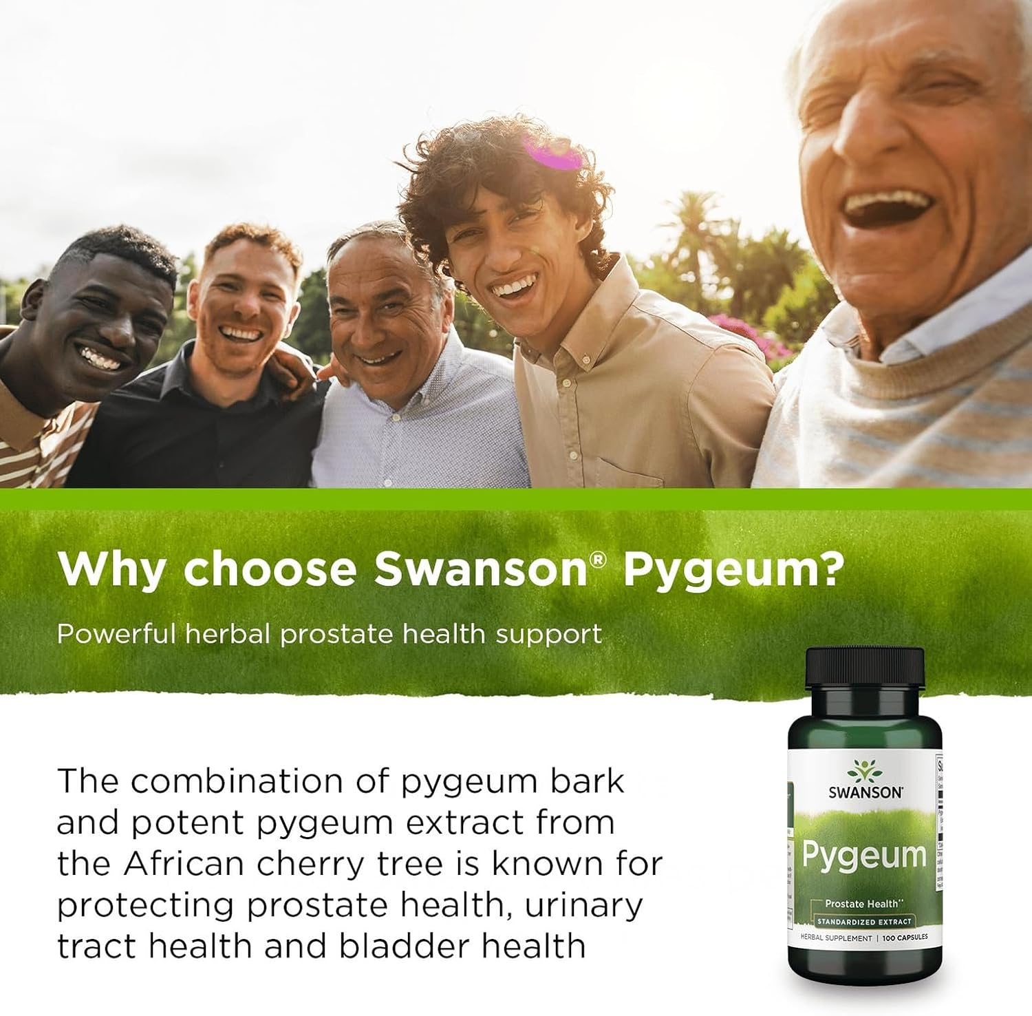 Swanson Hyssop 450 mg (100 Capsules)