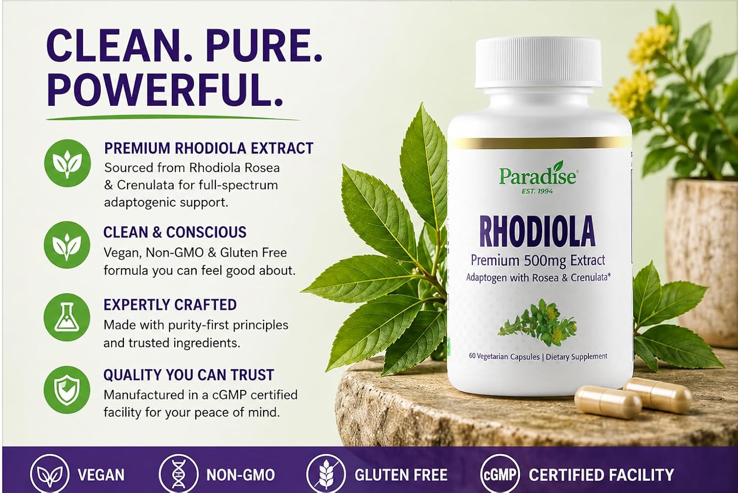 Paradise Herbs Rhodiola Extract 500 mg, Super Potent Antioxidant, Ultra-Pure, Vegan, Non-GMO, Gluten-Free, 60 Vegetarian Capsules