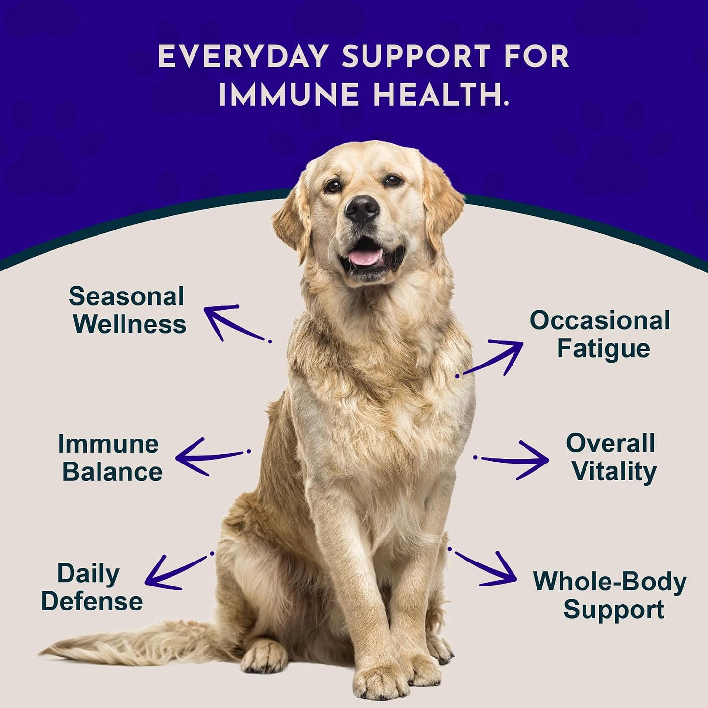 Animal Essentials Super Immune – Immune Support Supplement for Dogs and Cats (60 ml) - görsel 2