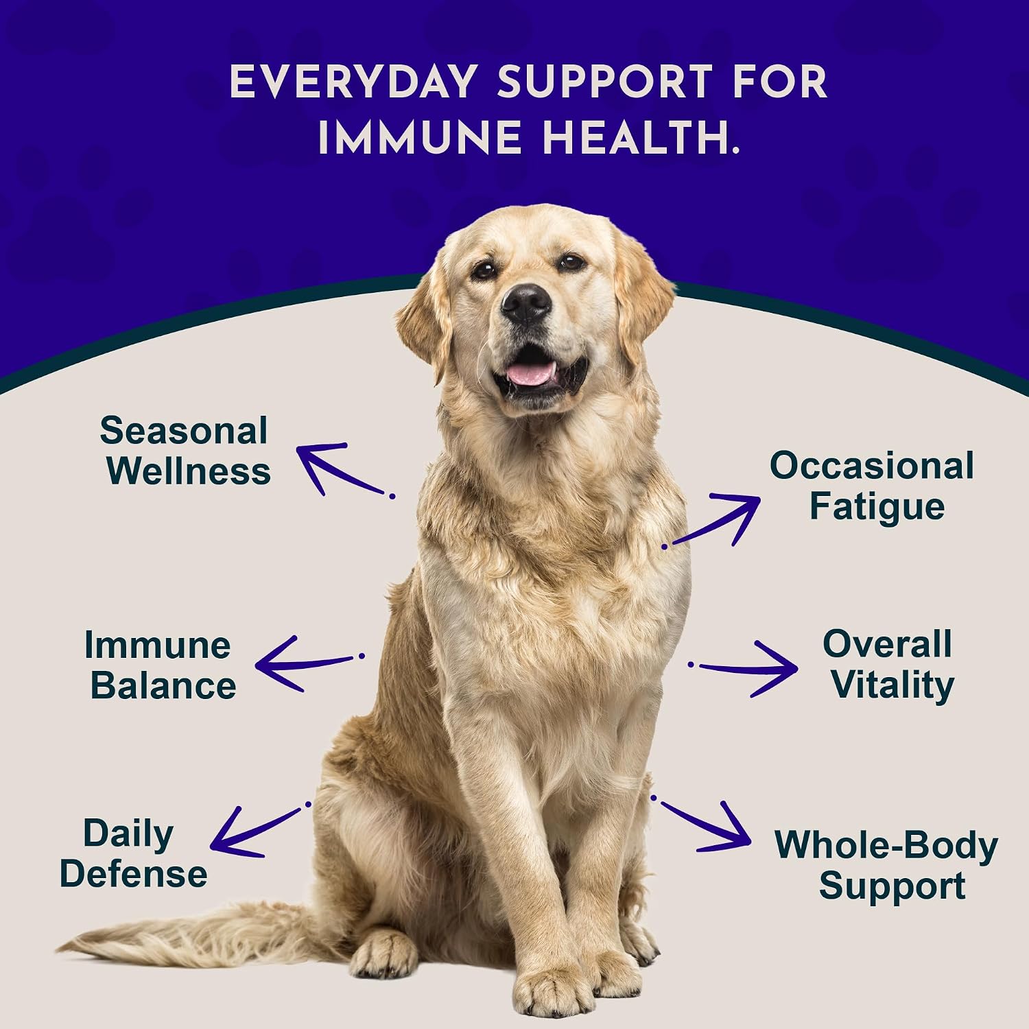 Animal Essentials Super Immune – Immune Support Supplement for Dogs and Cats (60 ml) - görsel 2